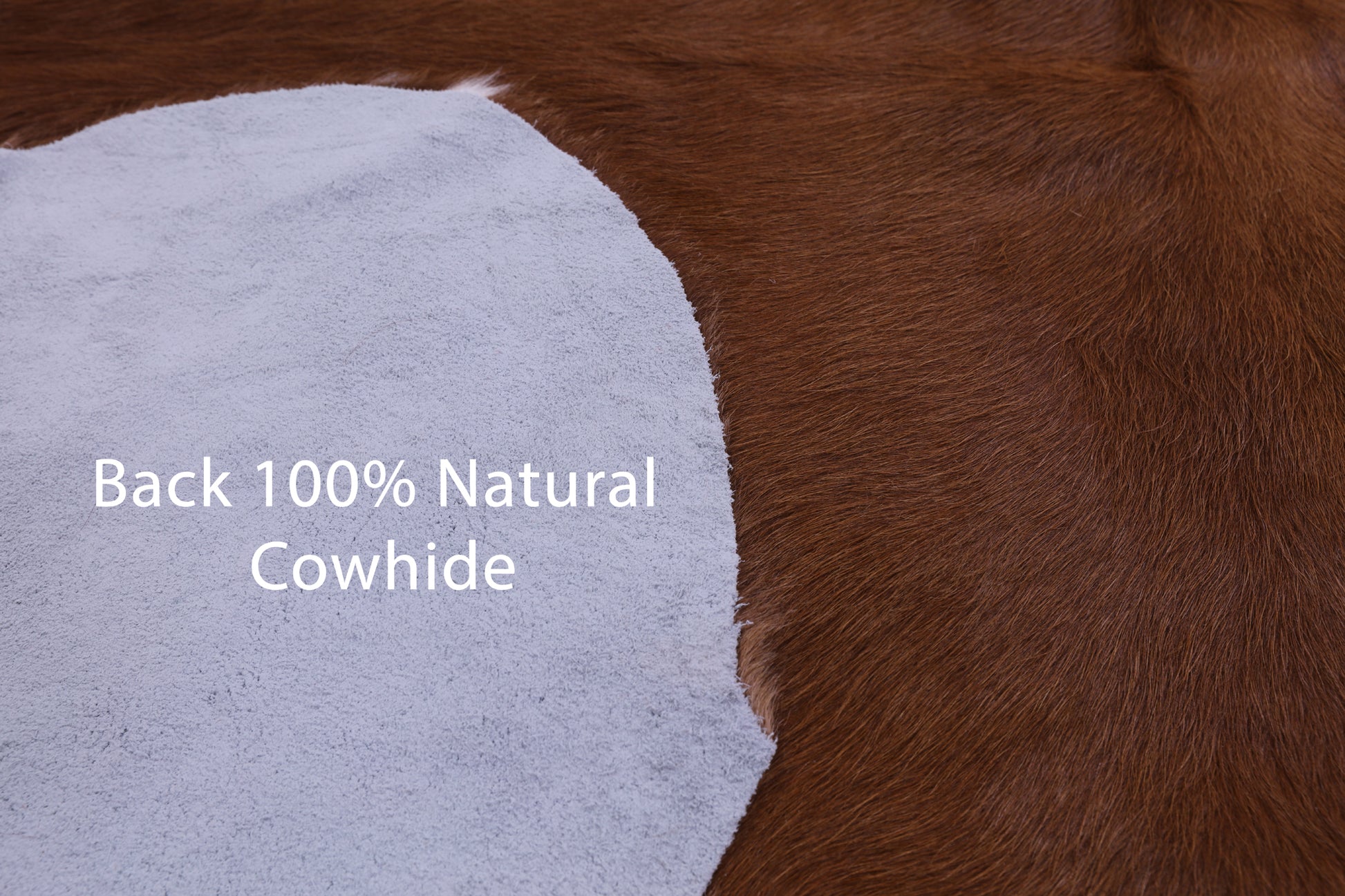 Natural Hair-On Cowhide Rug - 6' 6" X 5' 6" - Golden Nile