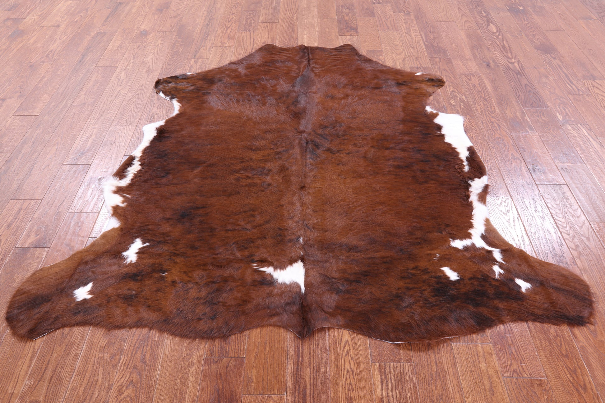 Natural Hair-On Cowhide Rug - 6' 4" X 6' 5" - Golden Nile