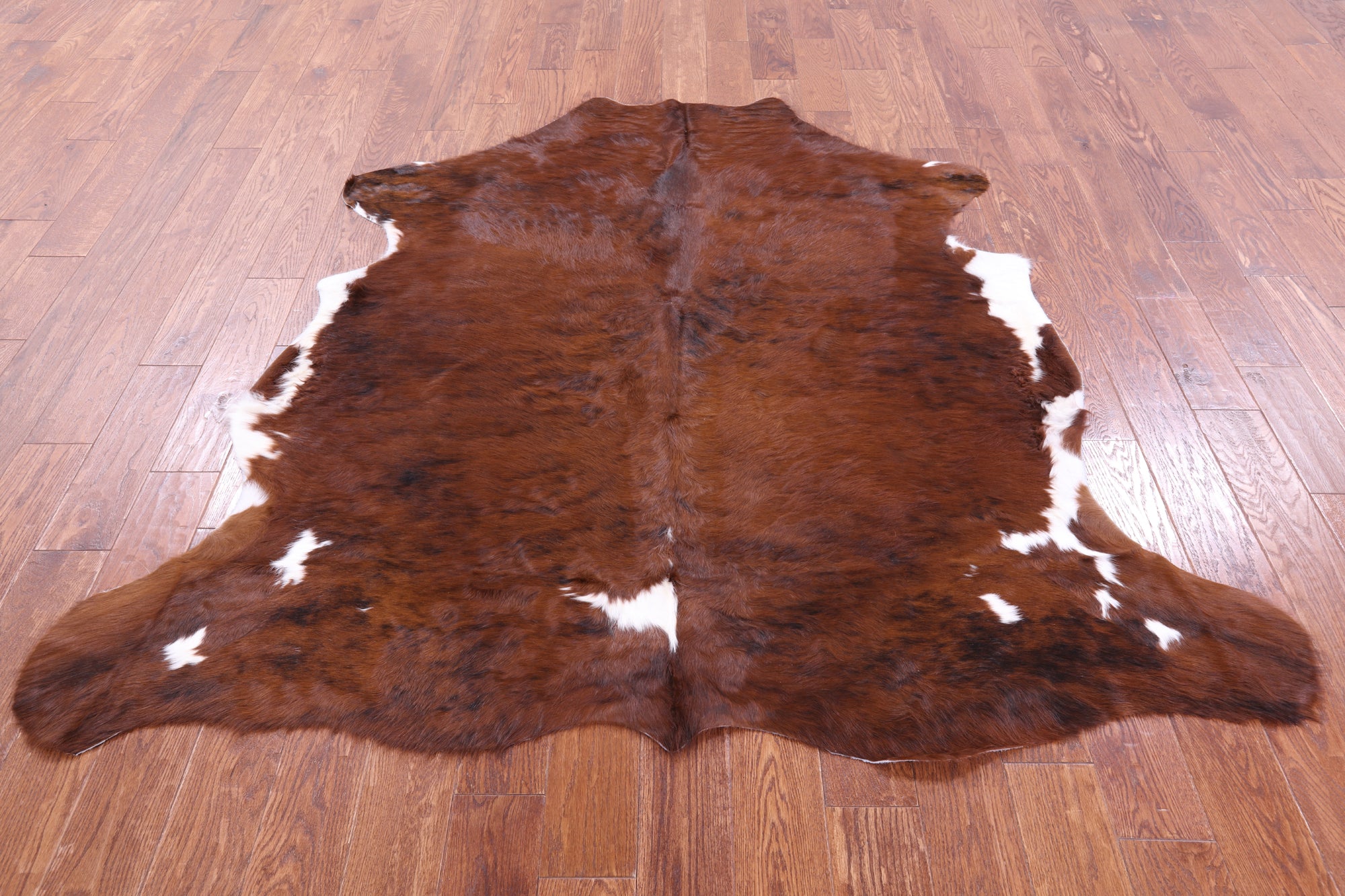 Natural Hair-On Cowhide Rug - 6' 4" X 6' 5" - Golden Nile