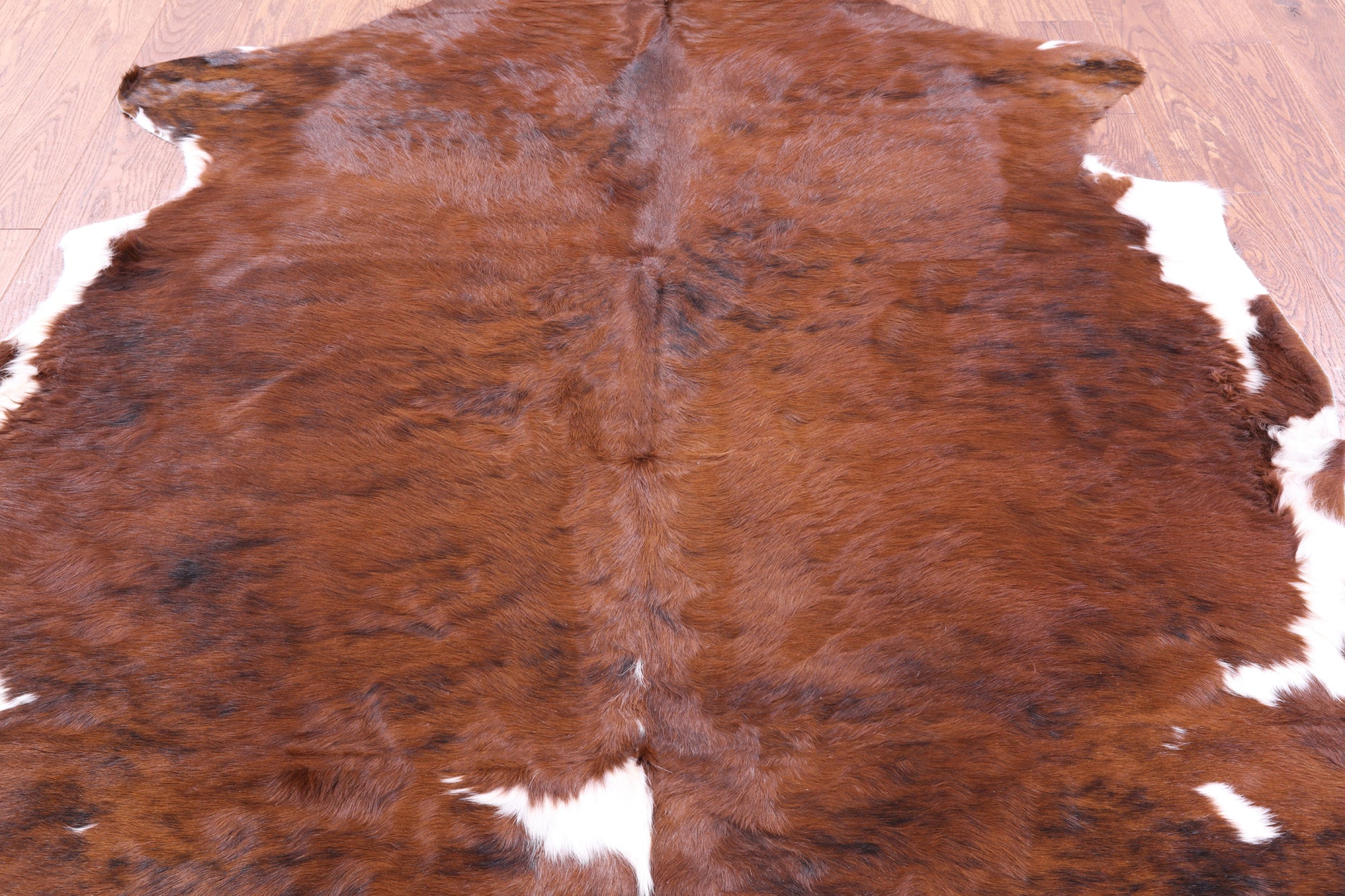 Natural Hair-On Cowhide Rug - 6' 4" X 6' 5" - Golden Nile