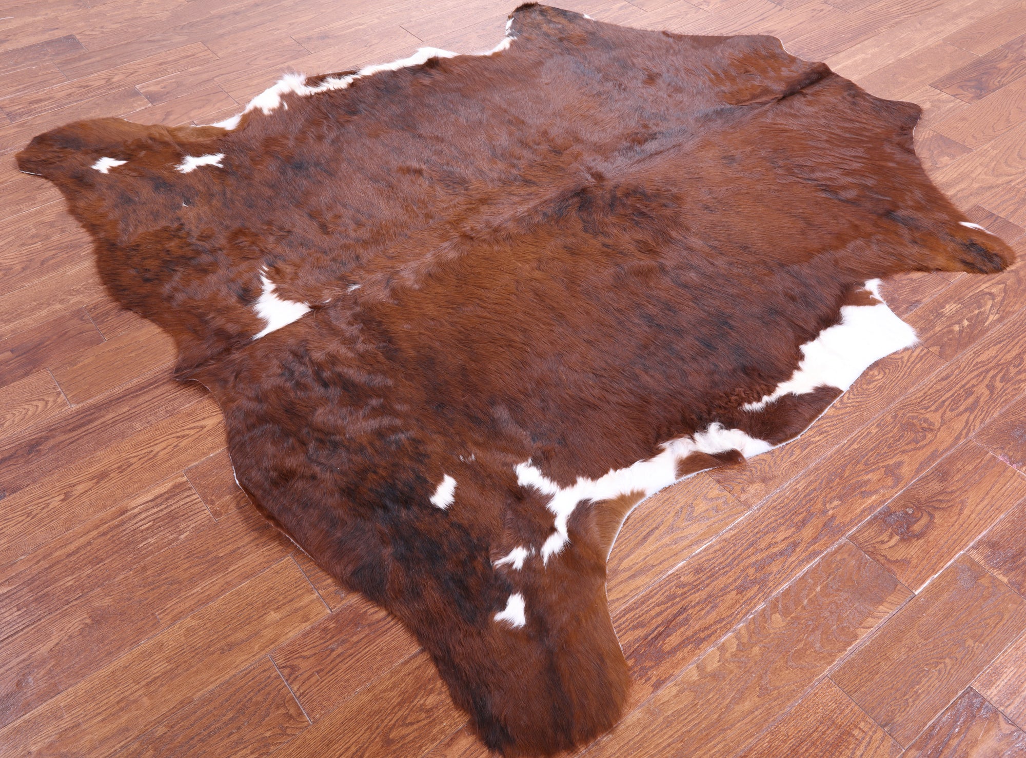 Natural Hair-On Cowhide Rug - 6' 4" X 6' 5" - Golden Nile