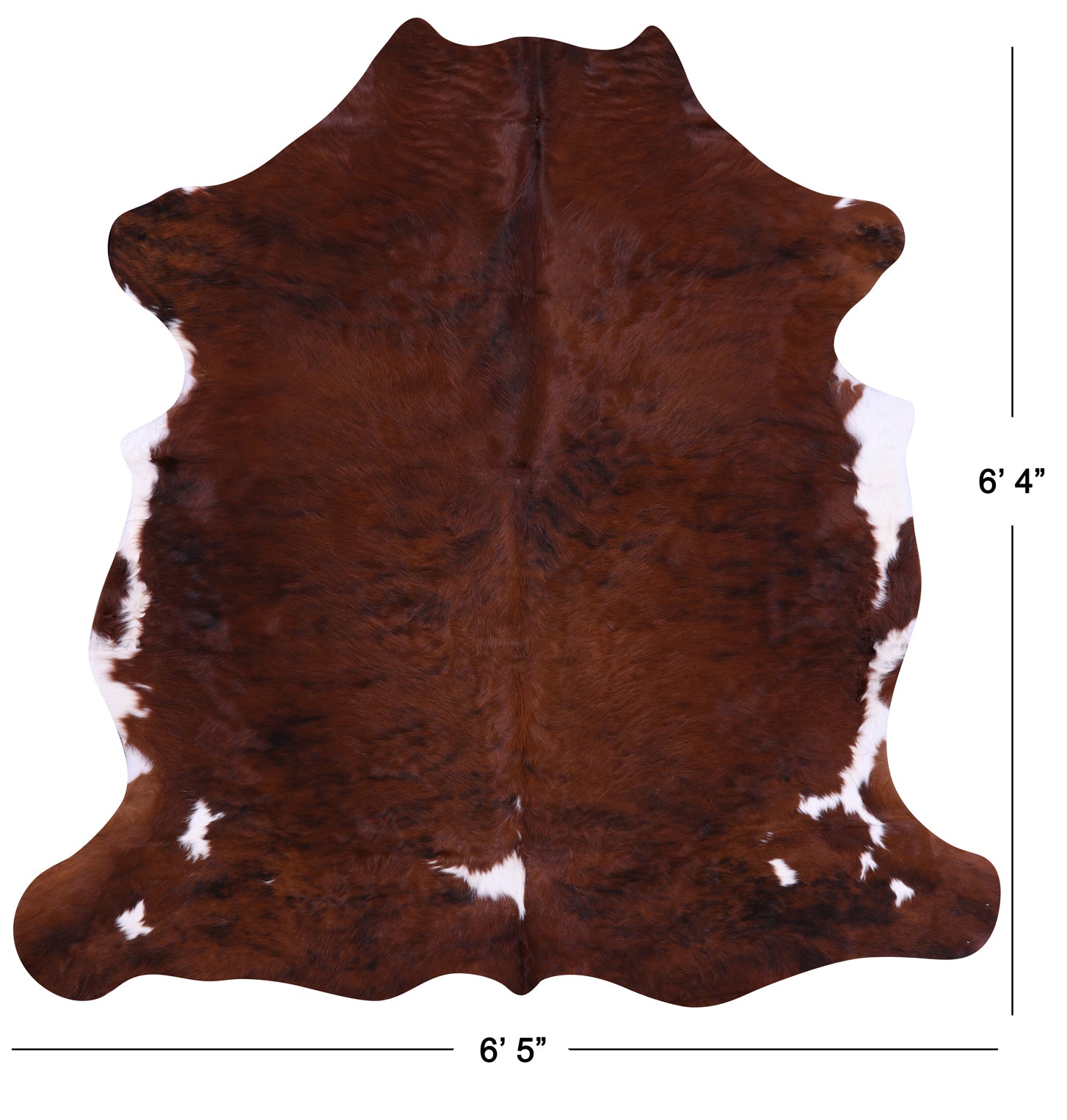 Natural Hair-On Cowhide Rug - 6' 4" X 6' 5" - Golden Nile