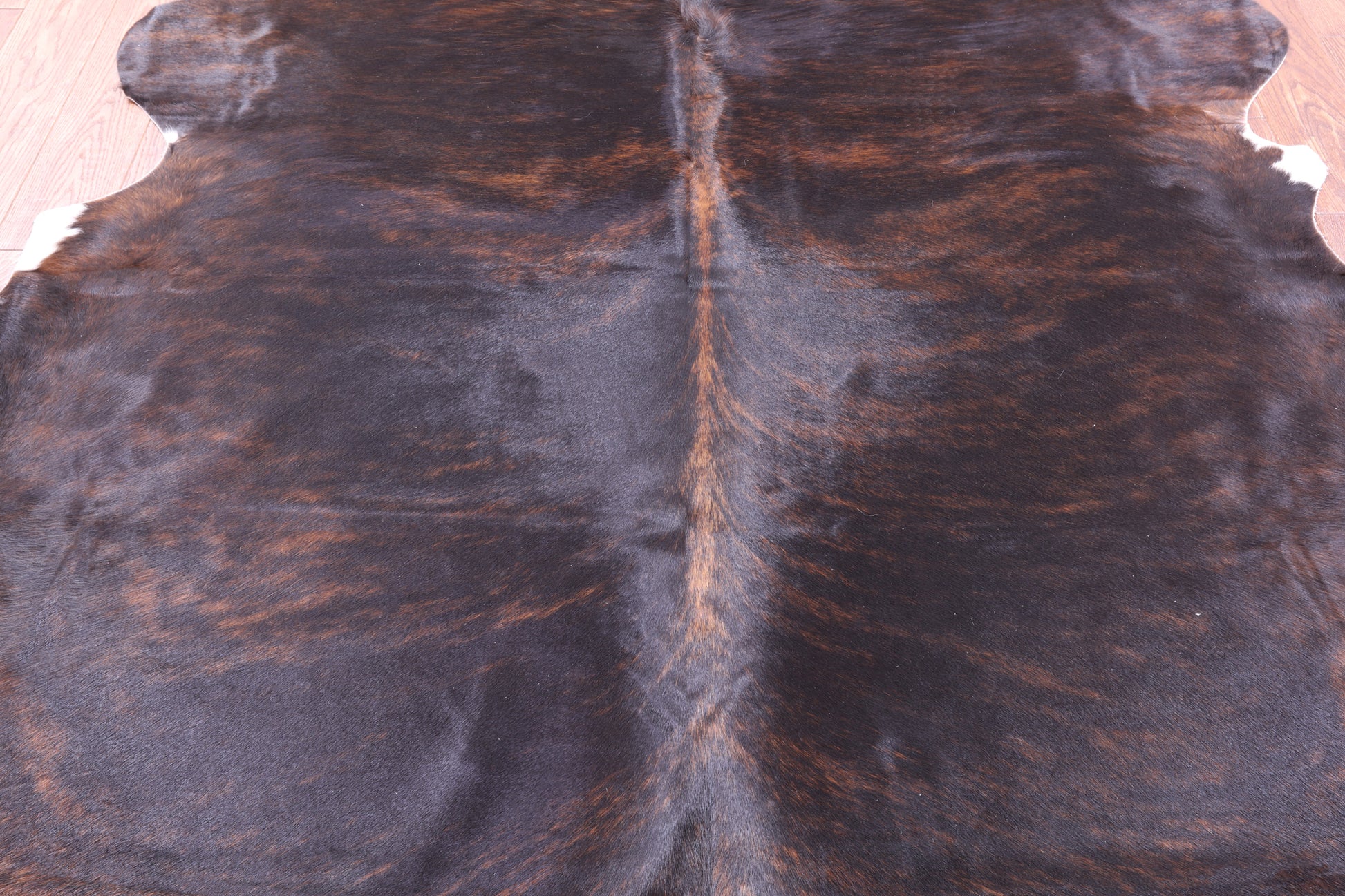Natural Hair-On Cowhide Rug - 6' 5" X 6' 6" - Golden Nile
