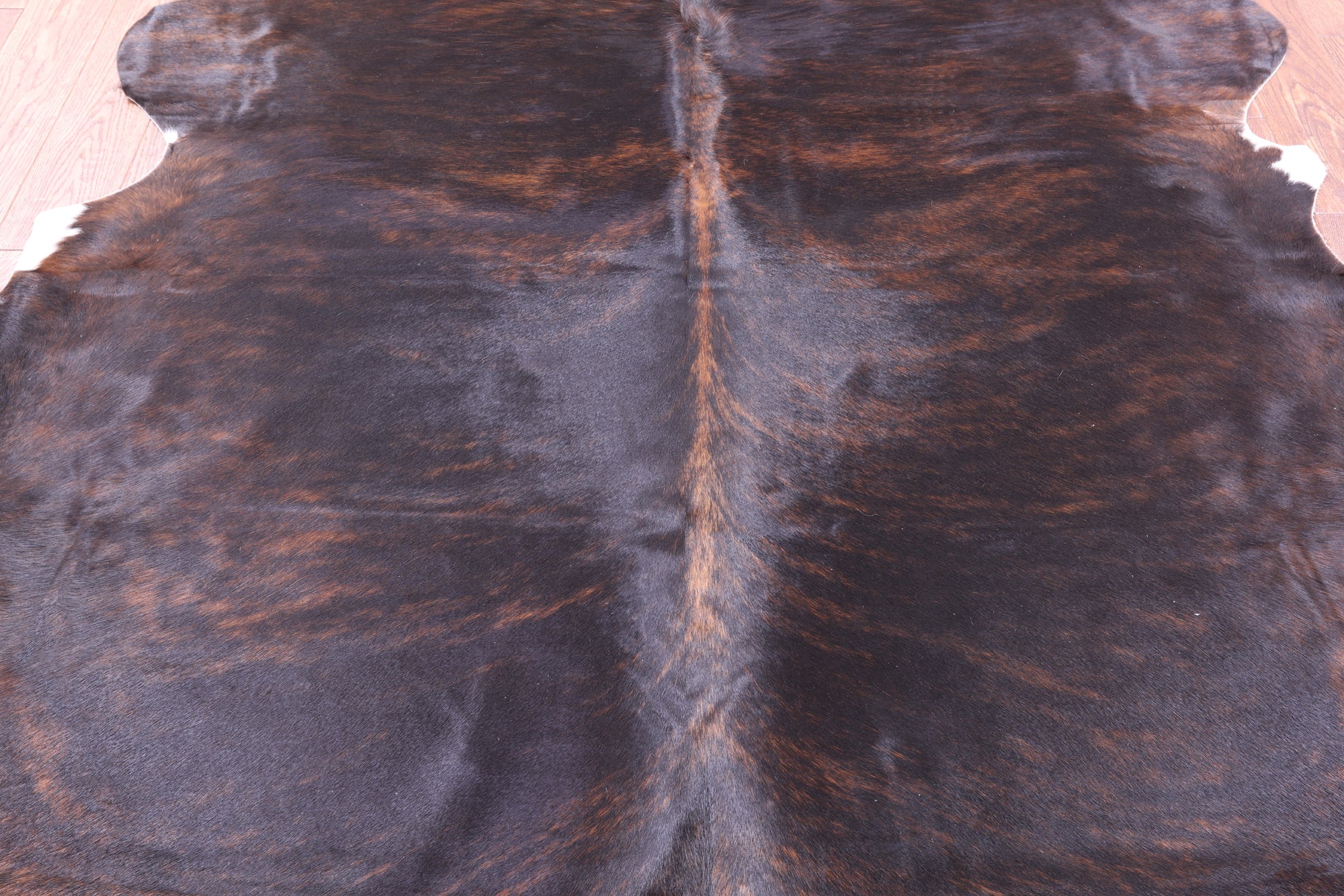 Natural Hair-On Cowhide Rug - 6' 5" X 6' 6" - Golden Nile