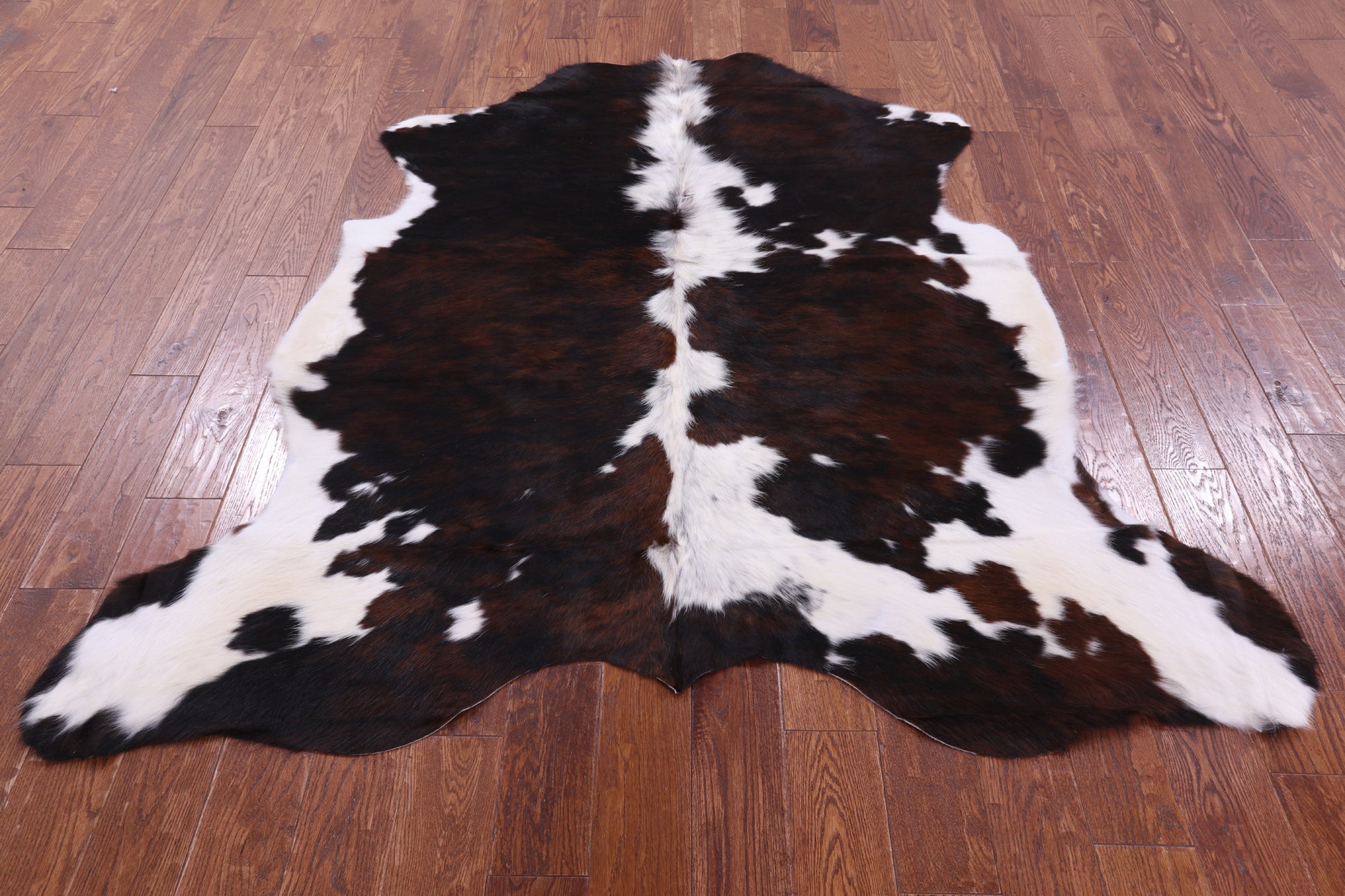 Natural Hair-On Cowhide Rug - 6' 4" X 6' 0" - Golden Nile