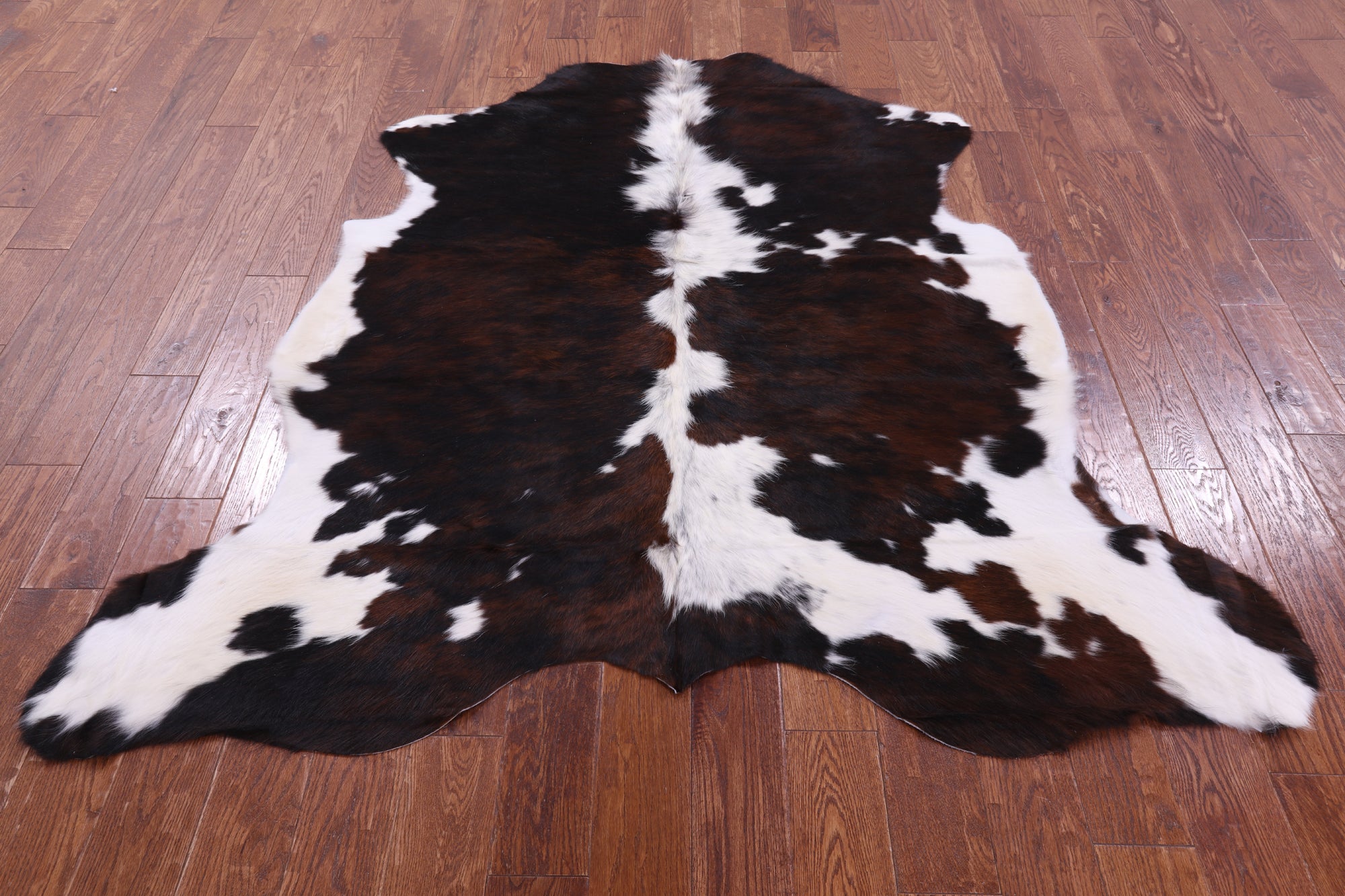 Natural Hair-On Cowhide Rug - 6' 4" X 6' 0" - Golden Nile