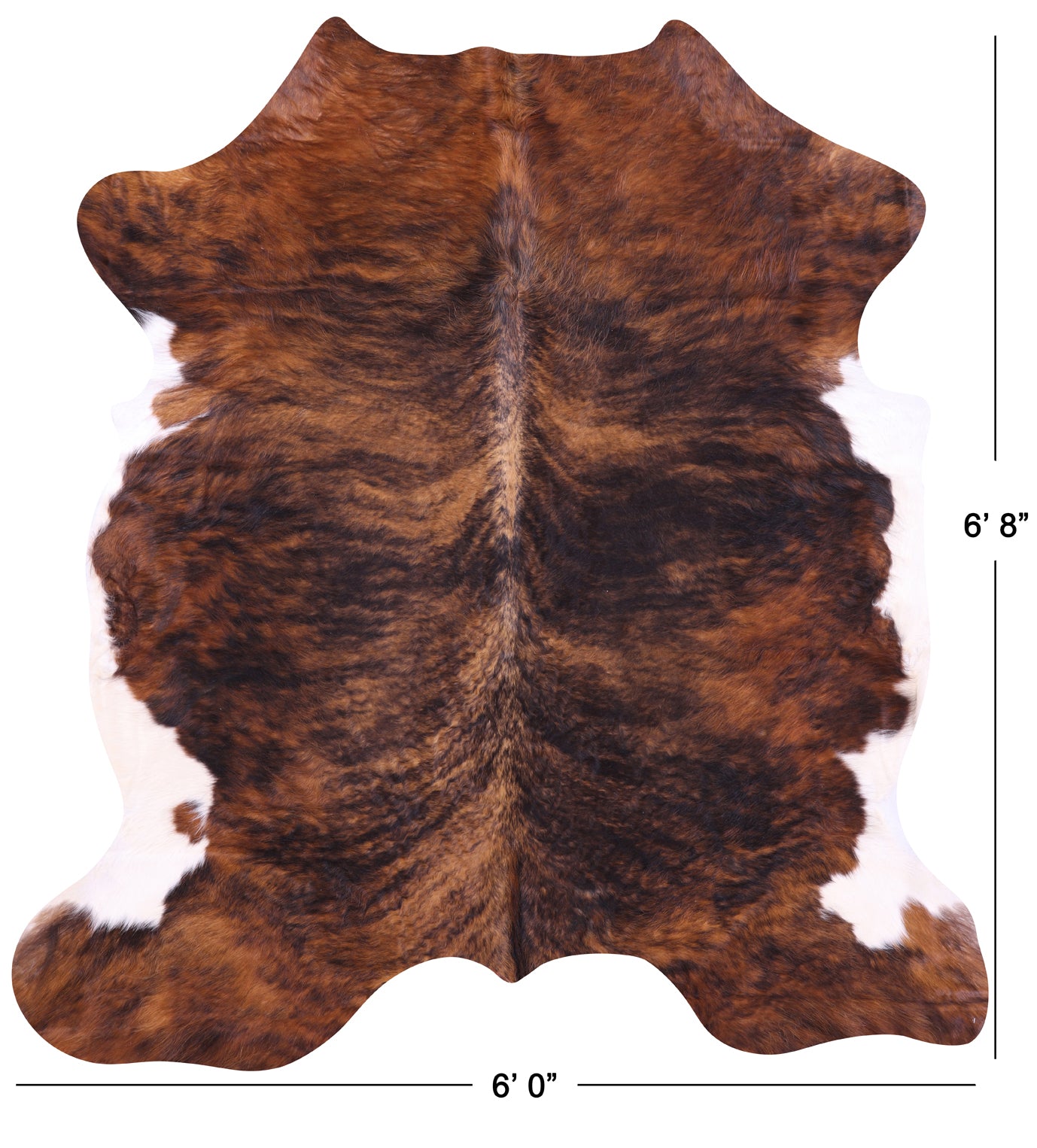 Brindle Natural Hair-On Cowhide Rug - 6' 8" X 6' 0" - Golden Nile