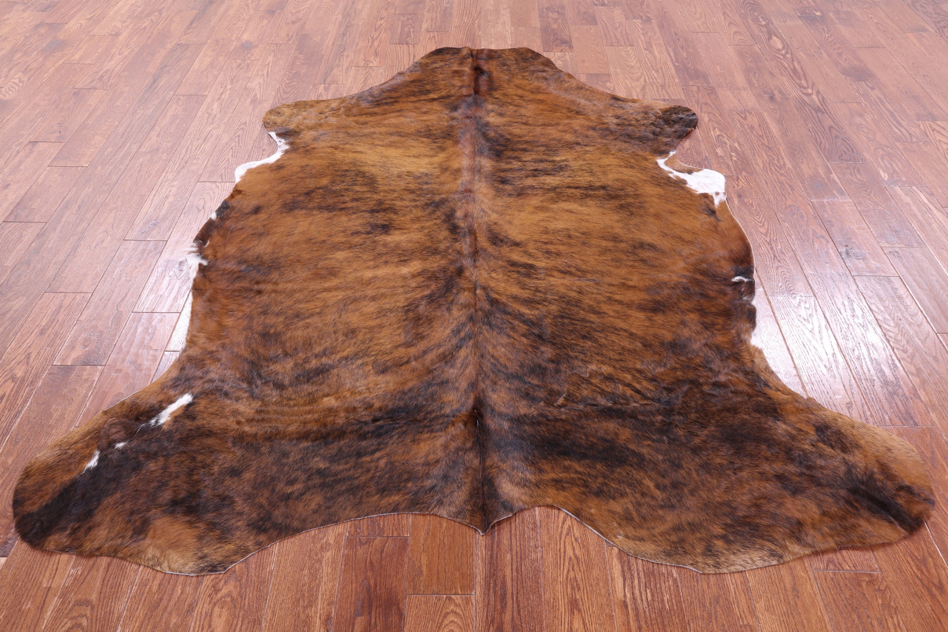 Brindle Natural Hair-On Cowhide Rug - 7' 3" X 6' 3" - Golden Nile