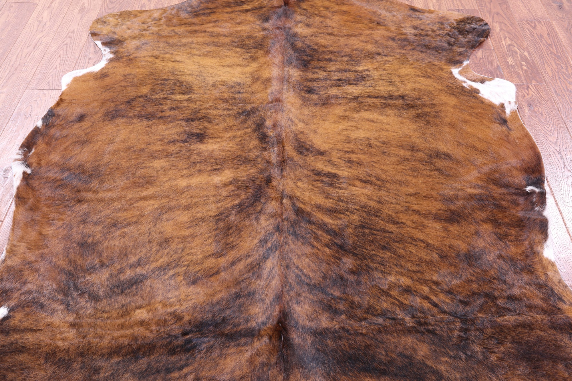 Brindle Natural Hair-On Cowhide Rug - 7' 3" X 6' 3" - Golden Nile