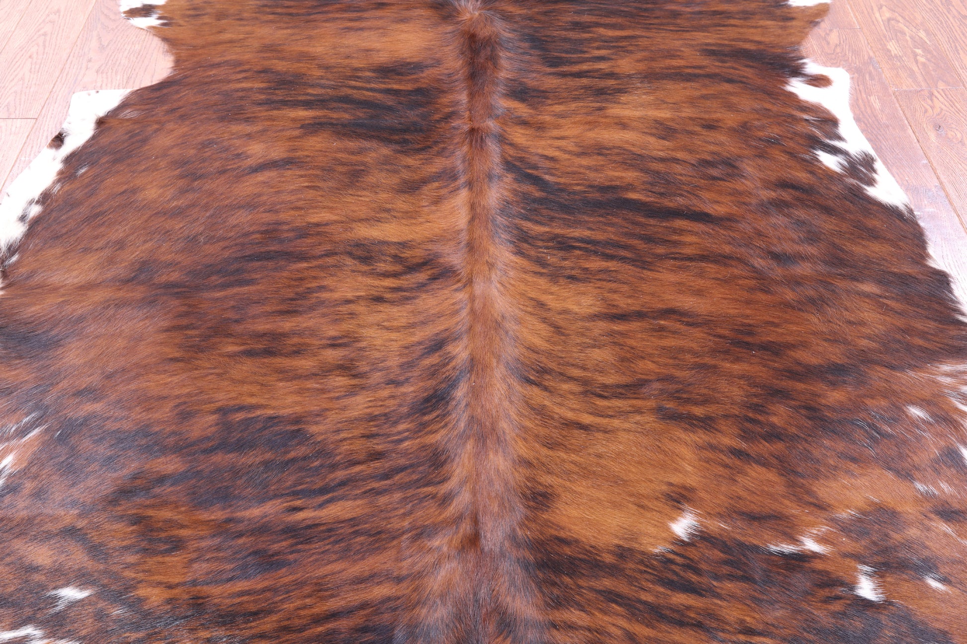 Natural Hair-On Cowhide Rug - 7' 0" X 6' 2" - Golden Nile
