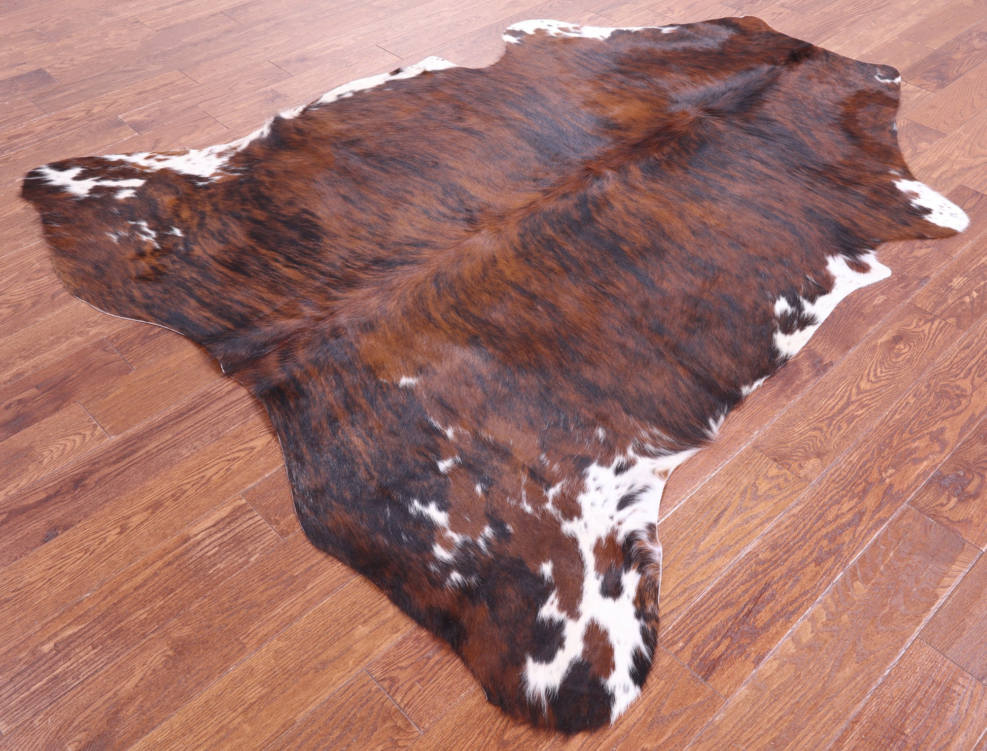 Natural Hair-On Cowhide Rug - 7' 0" X 6' 2" - Golden Nile
