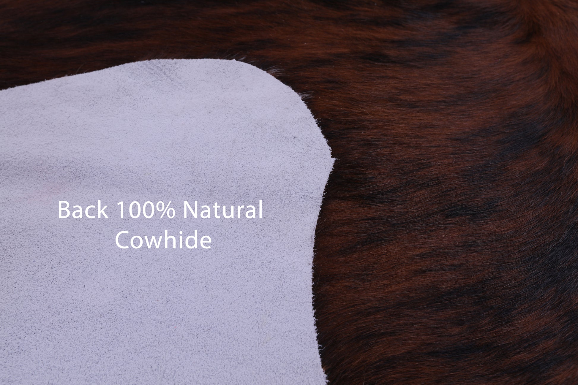 Natural Hair-On Cowhide Rug - 7' 0" X 6' 2" - Golden Nile