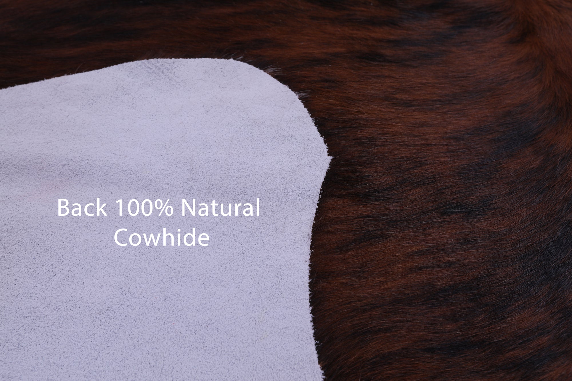 Natural Hair-On Cowhide Rug - 7' 0" X 6' 2" - Golden Nile