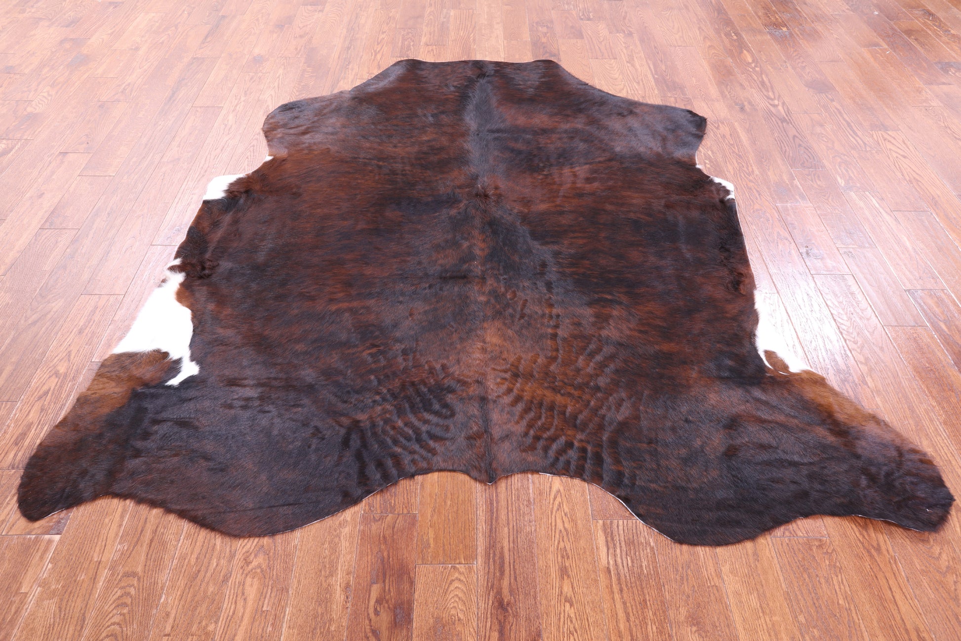 Natural Hair-On Cowhide Rug - 7' 3" X 6' 11" - Golden Nile