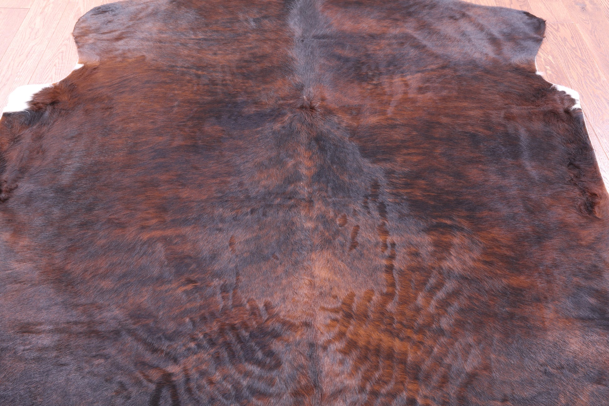 Natural Hair-On Cowhide Rug - 7' 3" X 6' 11" - Golden Nile