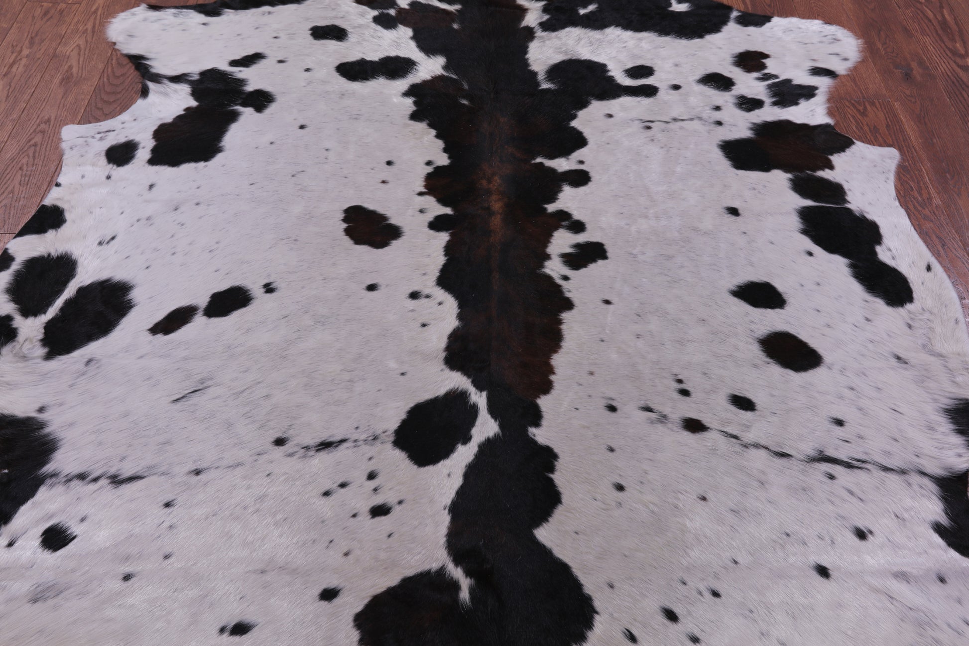 Natural Hair-On Cowhide Rug - 7' 6" X 6' 5" - Golden Nile