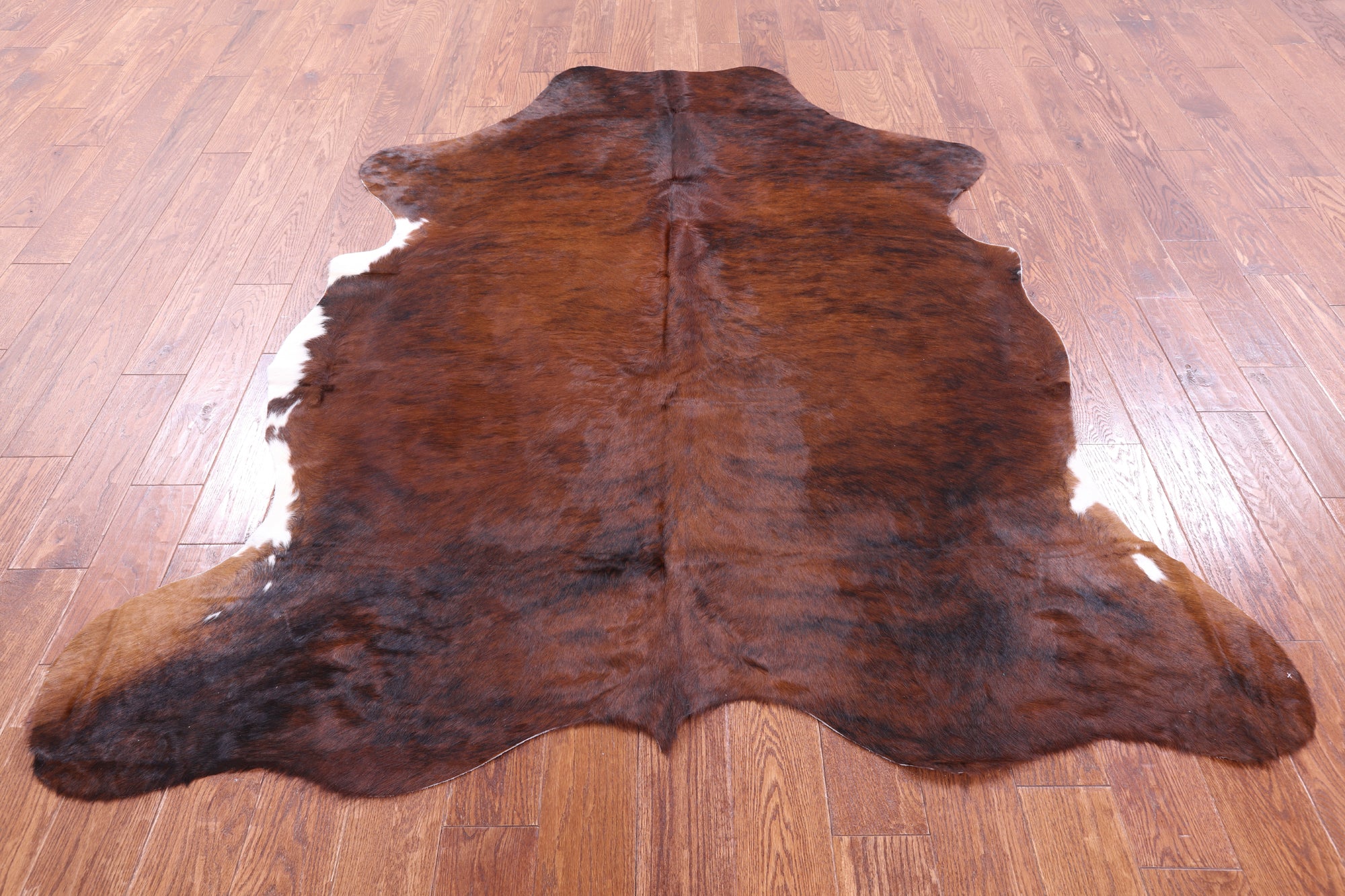 Natural Hair-On Cowhide Rug - 7' 1" X 6' 1" - Golden Nile