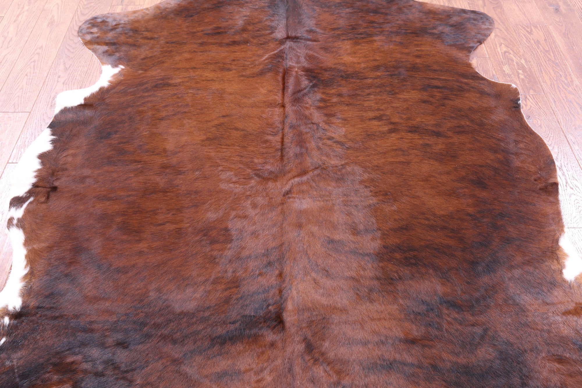Natural Hair-On Cowhide Rug - 7' 1" X 6' 1" - Golden Nile