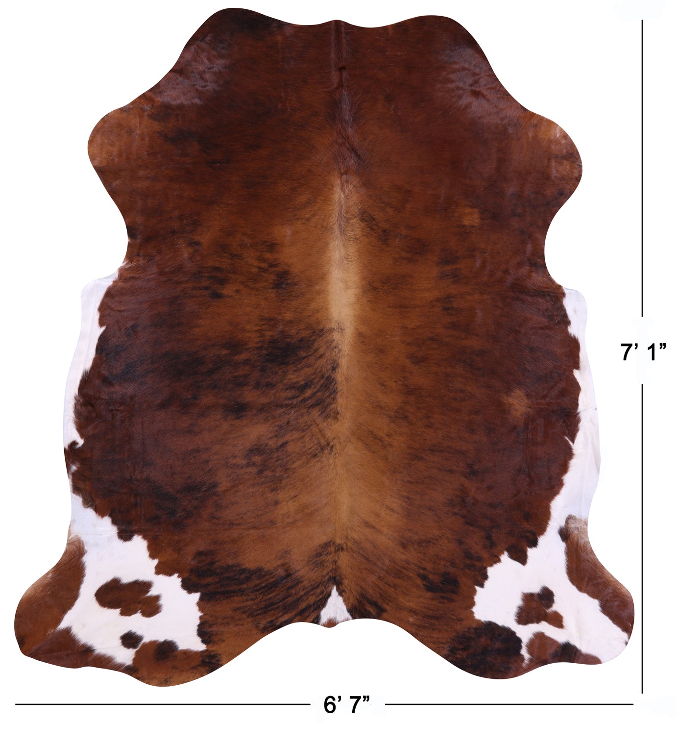 Natural Hair-On Cowhide Rug - 7' 1" X 6' 7" - Golden Nile