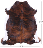Natural Hair-On Cowhide Rug - 6' 11" X 6' 3" - Golden Nile