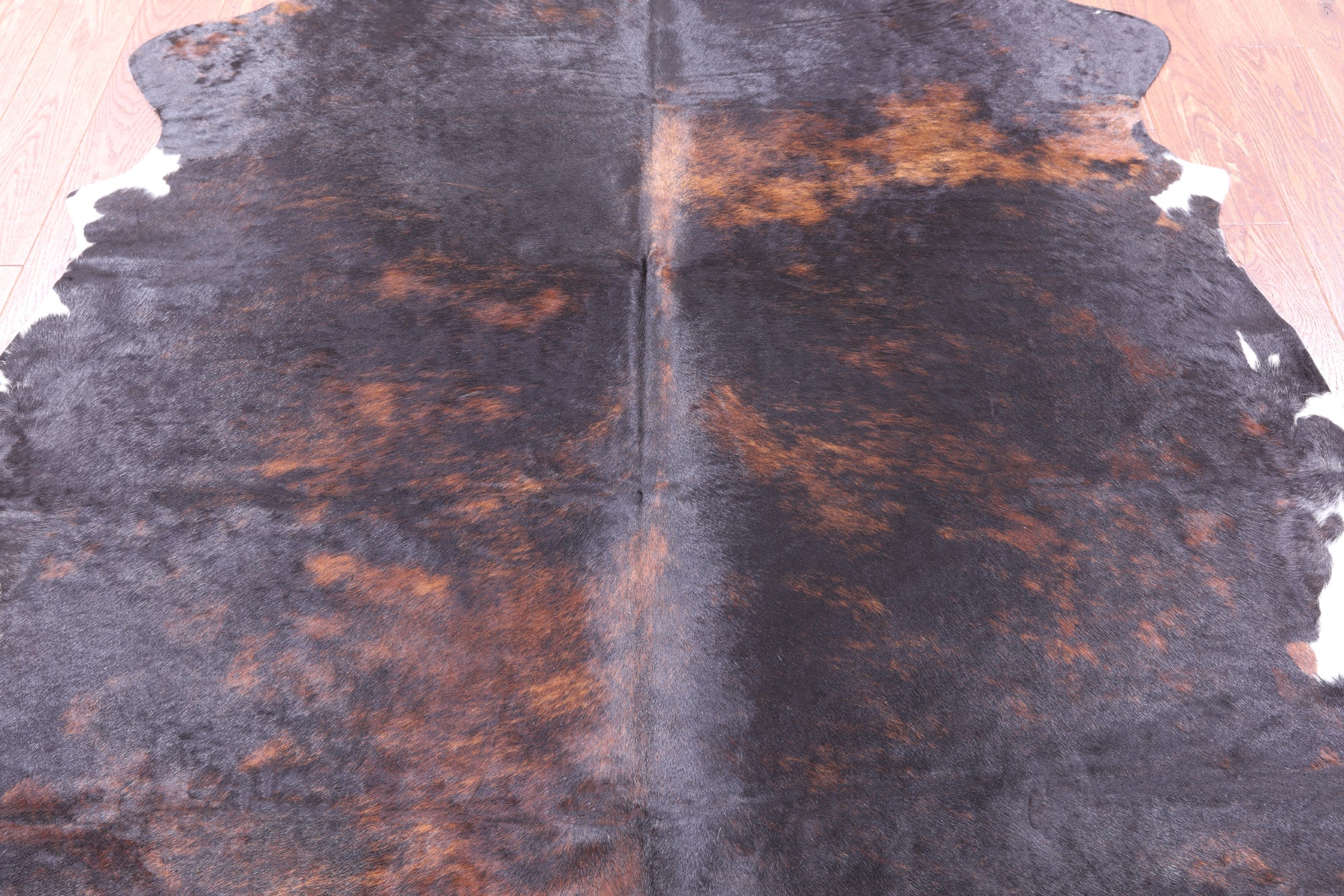 Natural Hair-On Cowhide Rug - 6' 5" X 6' 3" - Golden Nile