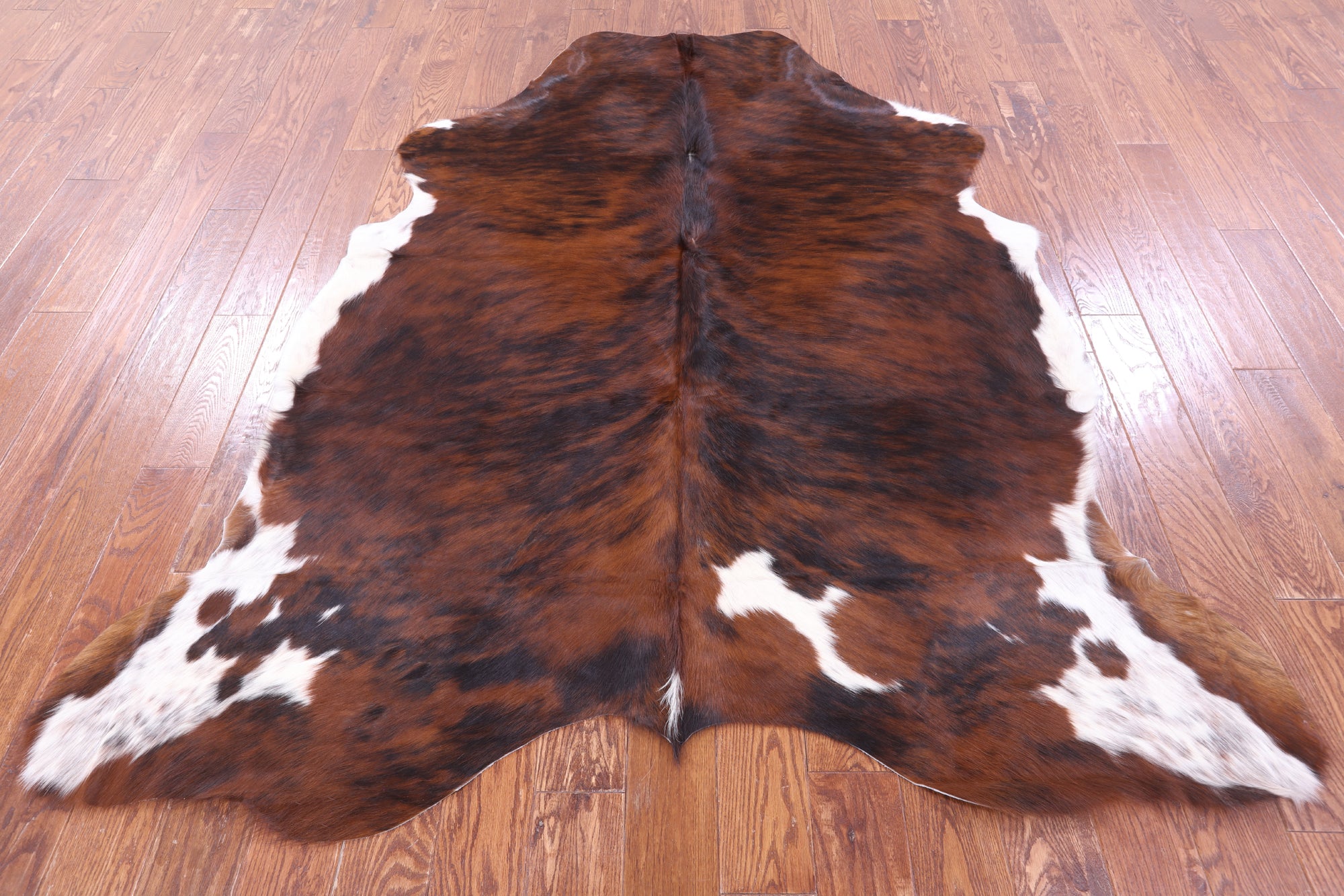 Natural Hair-On Cowhide Rug - 7' 1" X 6' 2" - Golden Nile