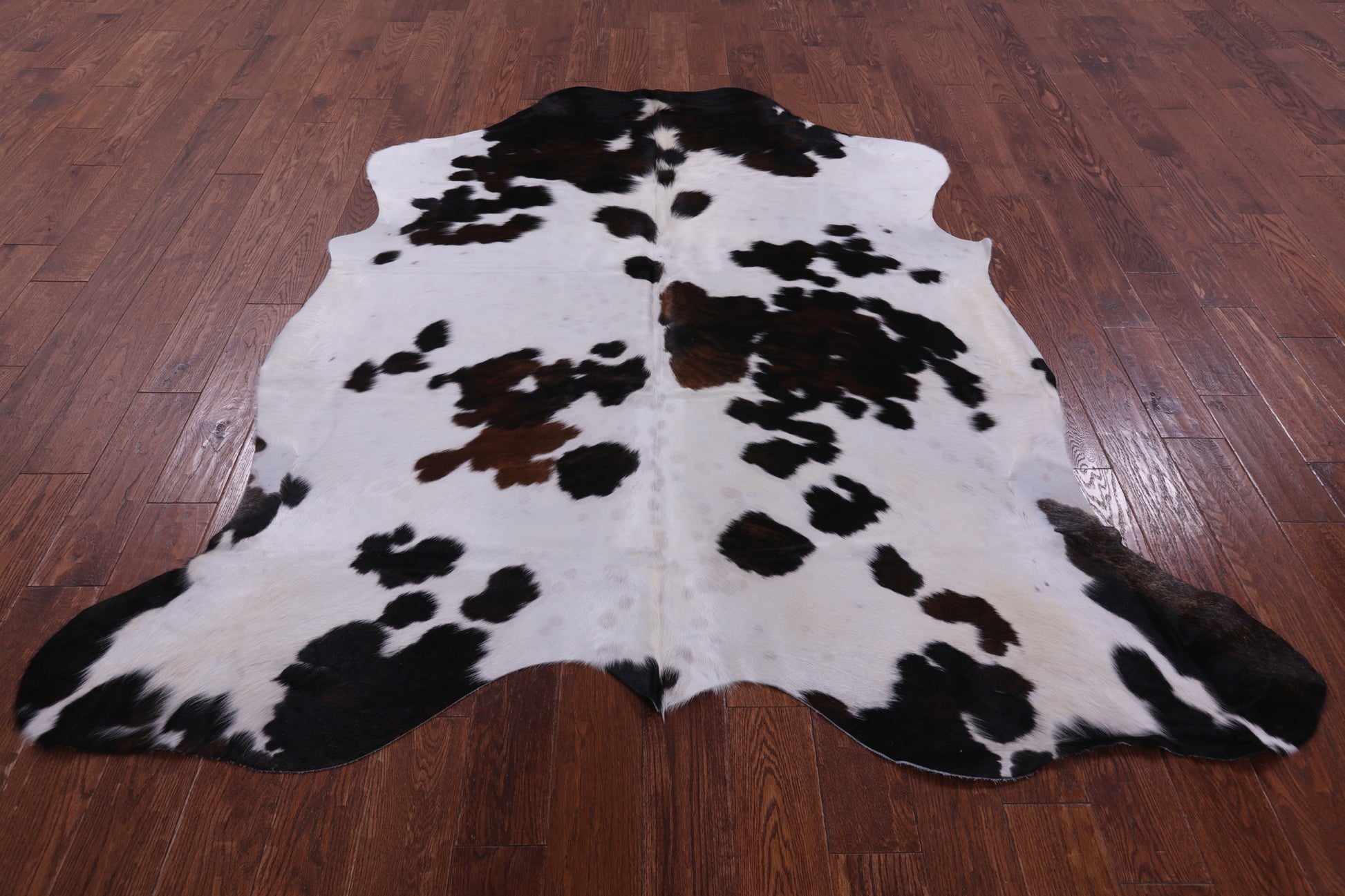 Natural Hair-On Cowhide Rug - 6' 11" X 6' 8" - Golden Nile