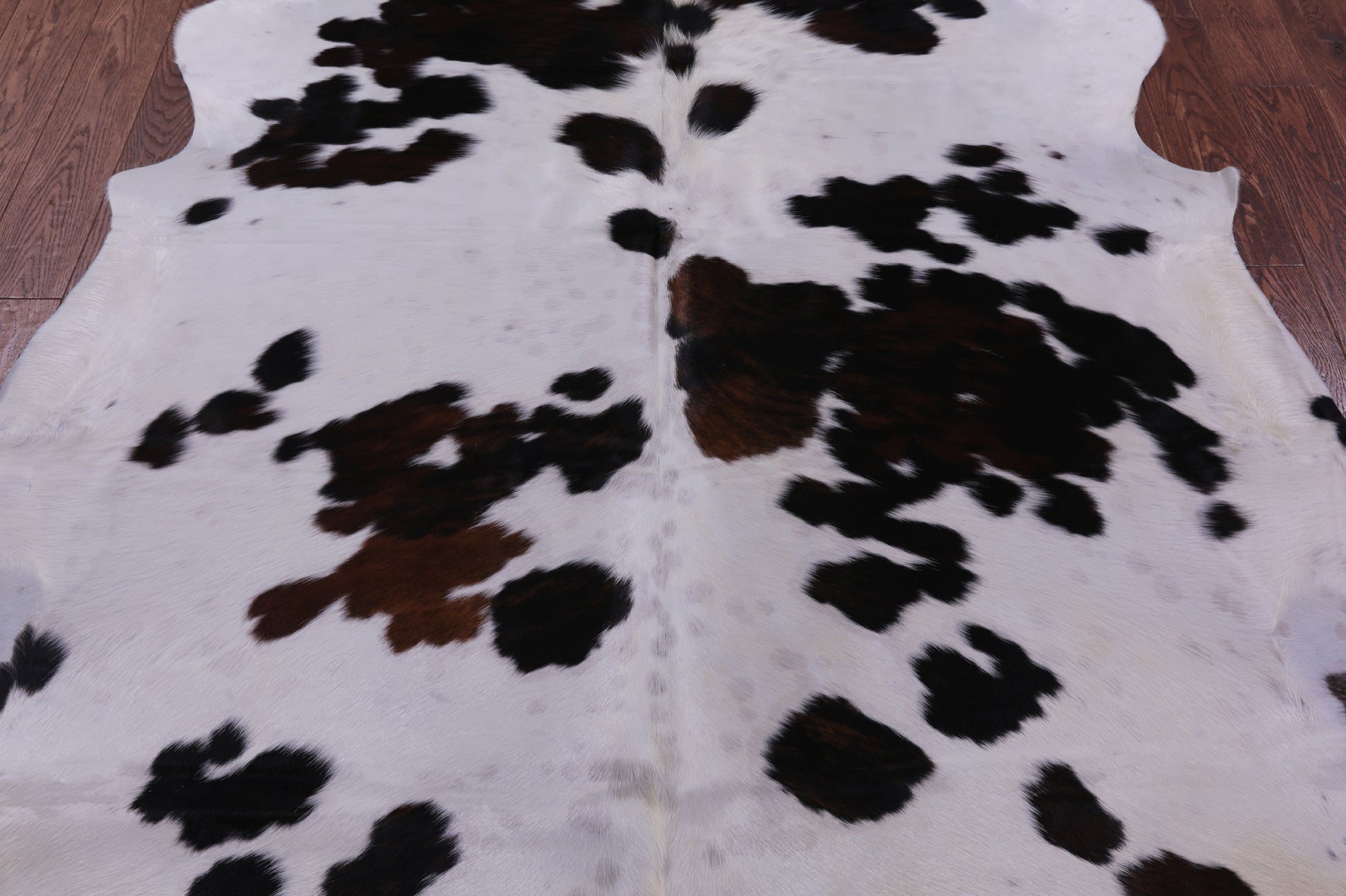 Natural Hair-On Cowhide Rug - 6' 11" X 6' 8" - Golden Nile