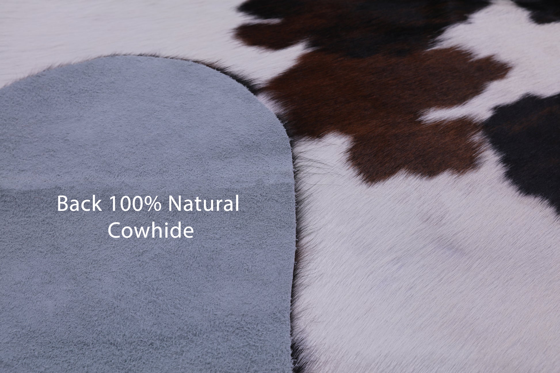 Natural Hair-On Cowhide Rug - 6' 11" X 6' 8" - Golden Nile