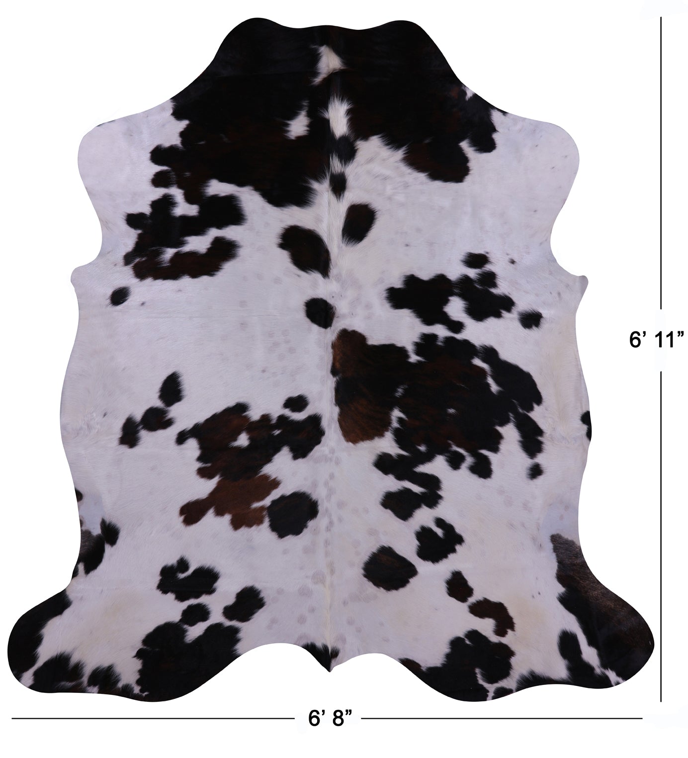 Natural Hair-On Cowhide Rug - 6' 11" X 6' 8" - Golden Nile