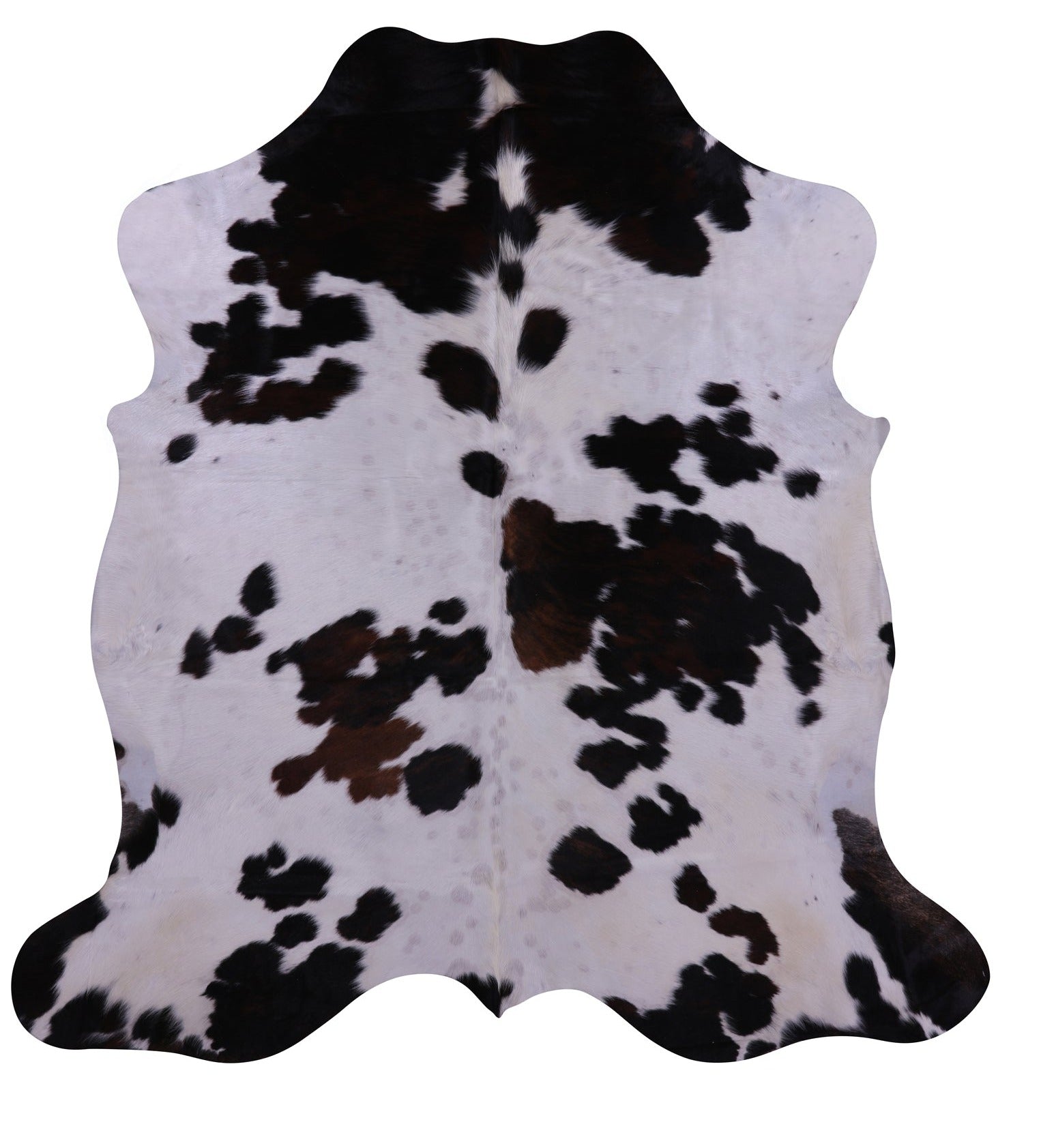 Natural Hair-On Cowhide Rug - 6' 11" X 6' 8" - Golden Nile