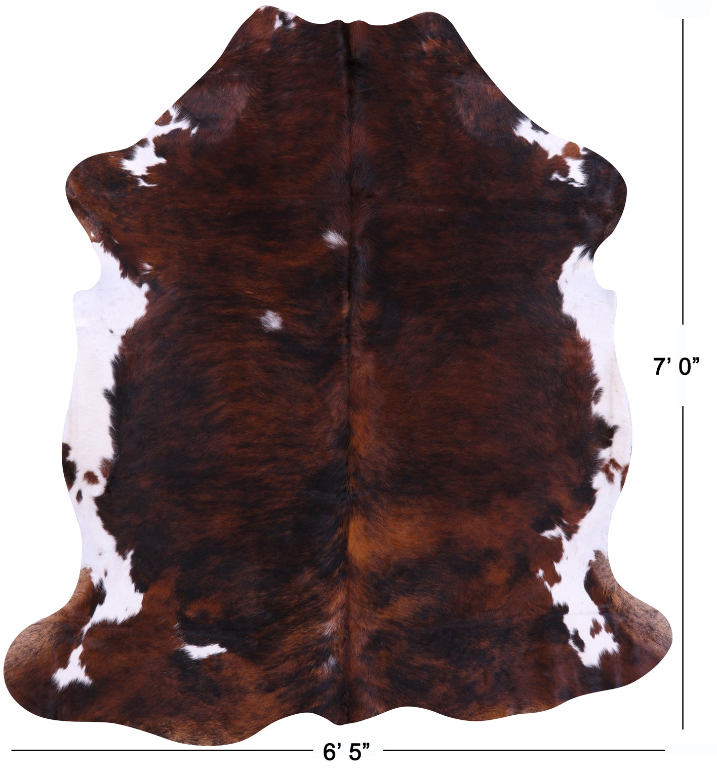 Tricolor Natural Hair-On Cowhide Rug - 7' 0" X 6' 5" - Golden Nile