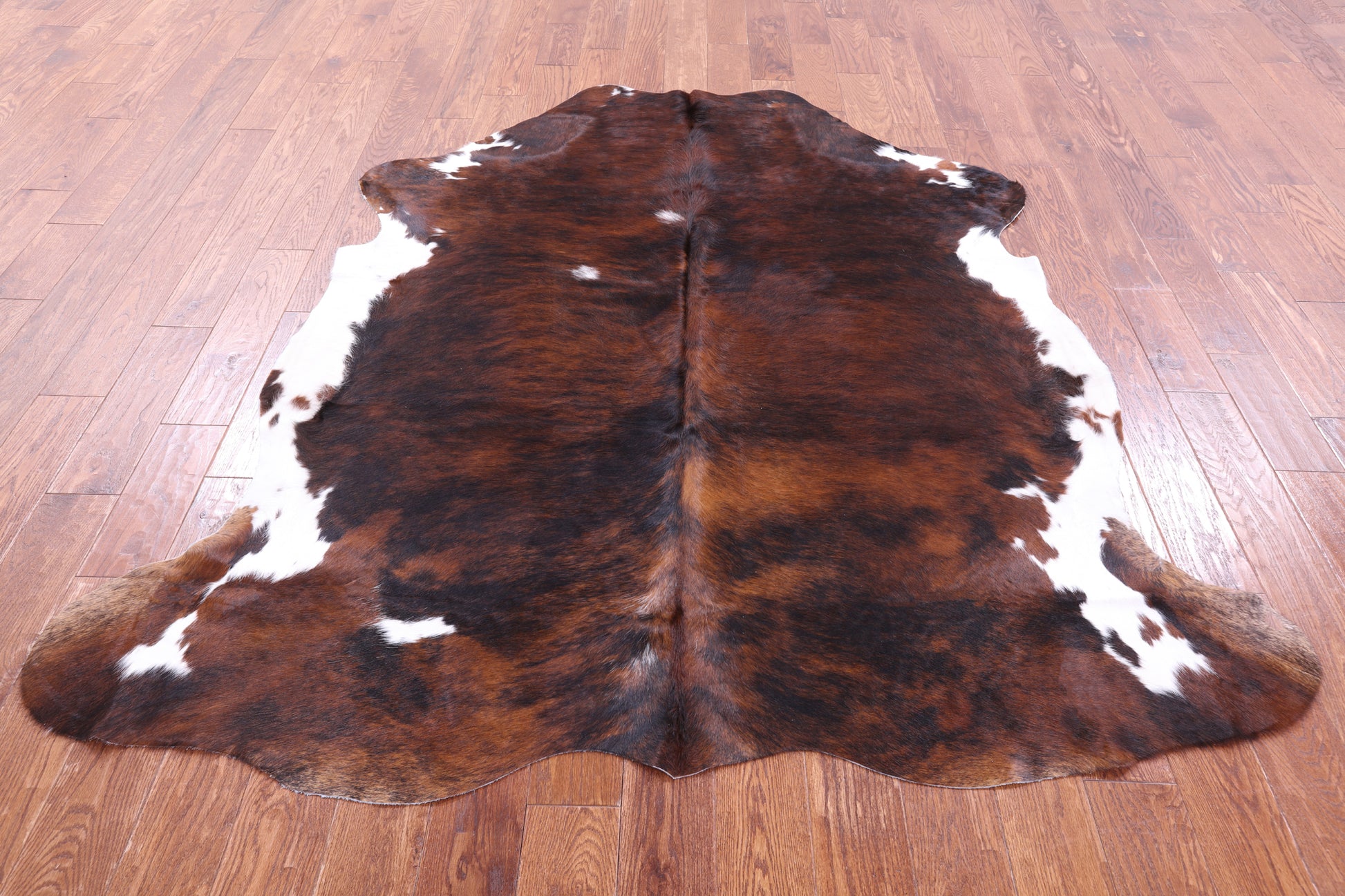 Tricolor Natural Hair-On Cowhide Rug - 7' 0" X 6' 5" - Golden Nile