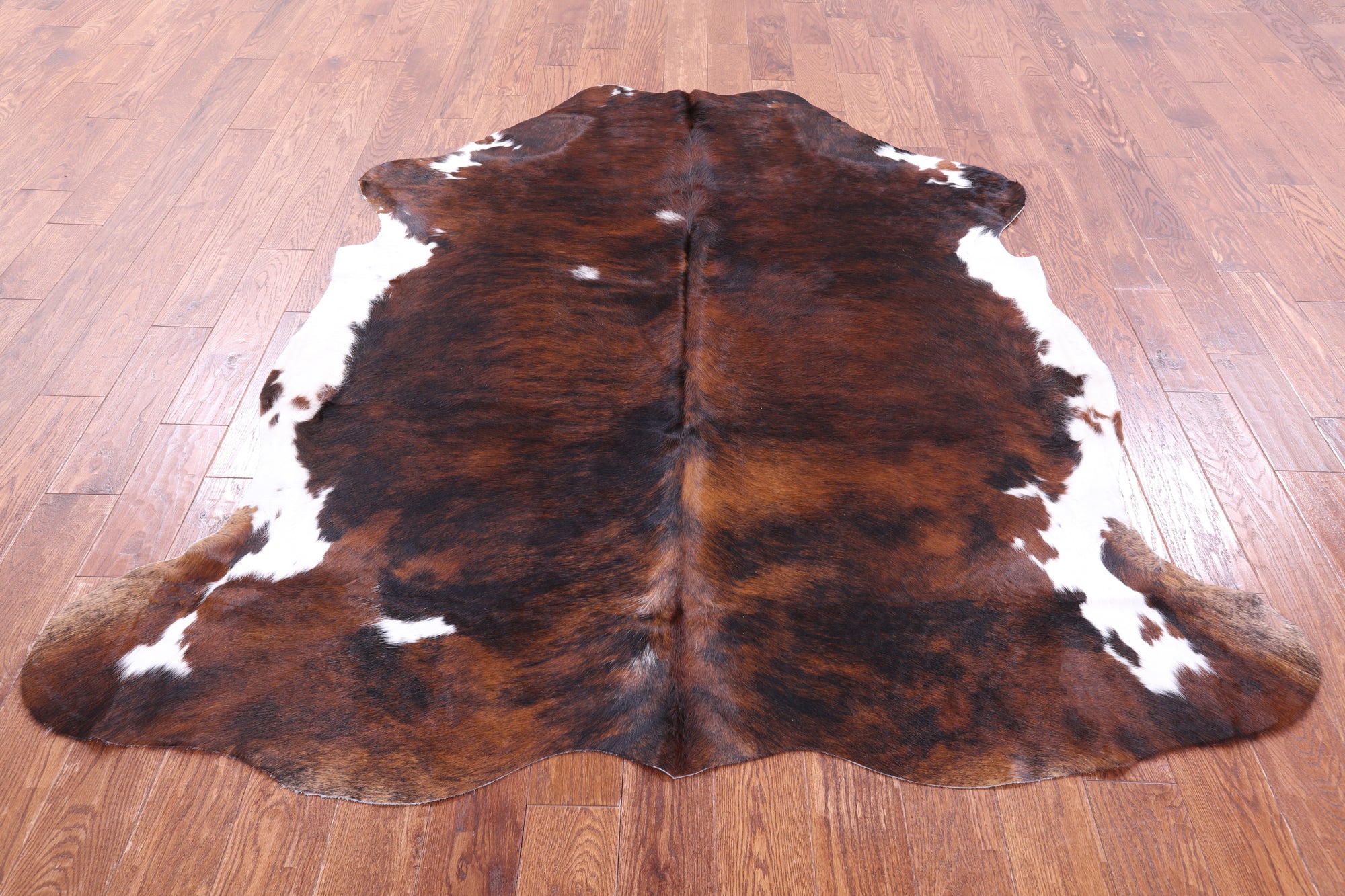 Tricolor Natural Hair-On Cowhide Rug - 7' 0" X 6' 5" - Golden Nile