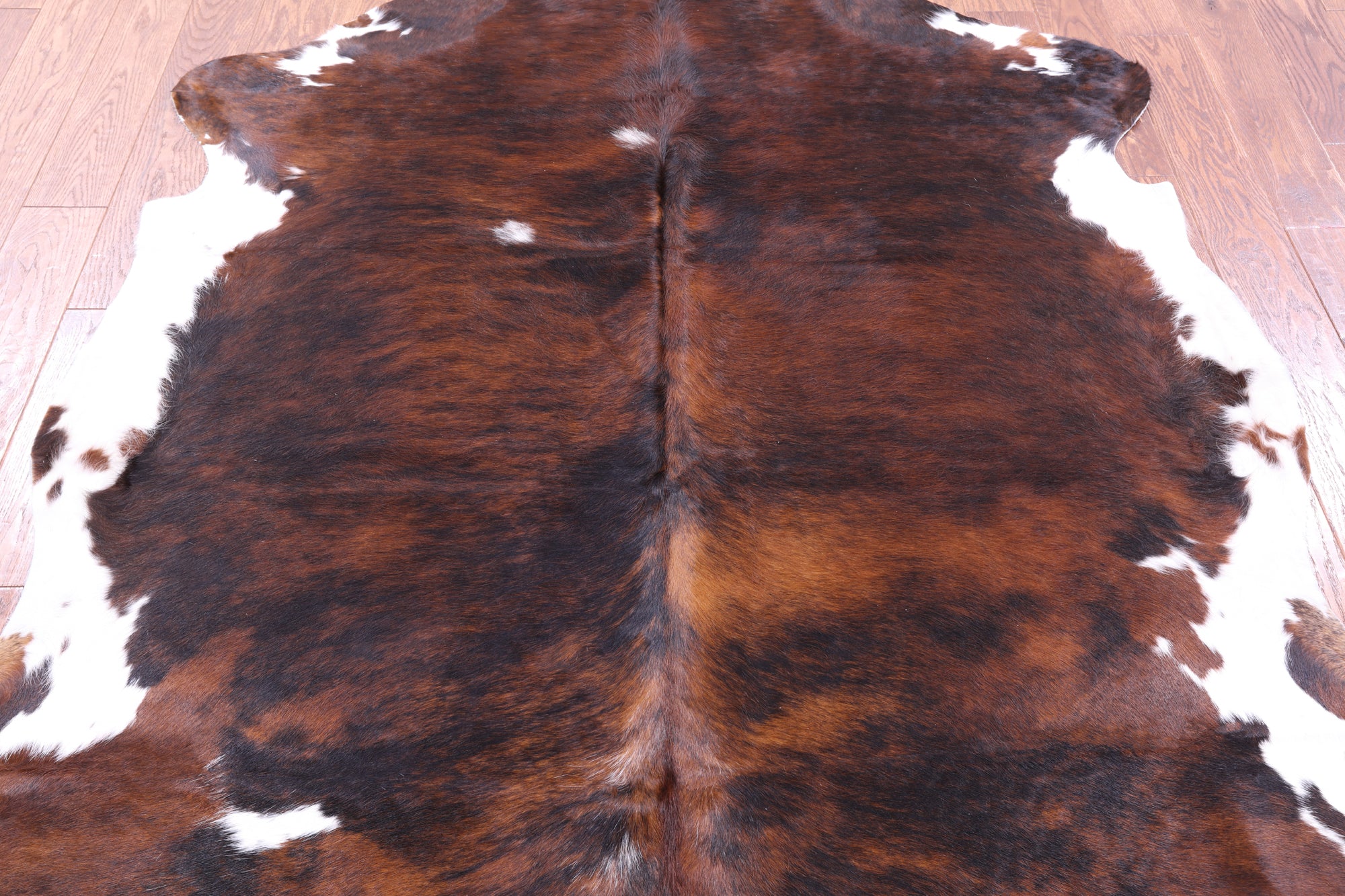 Tricolor Natural Hair-On Cowhide Rug - 7' 0" X 6' 5" - Golden Nile