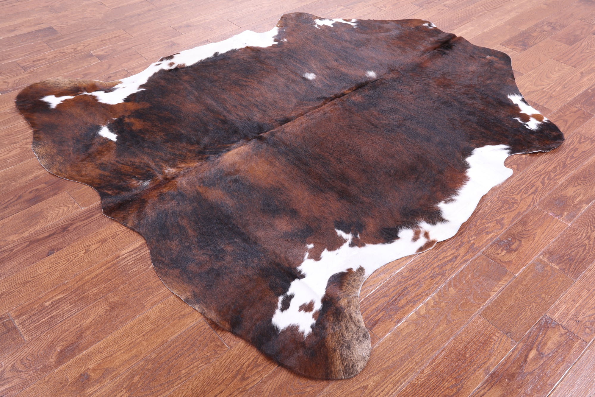 Tricolor Natural Hair-On Cowhide Rug - 7' 0" X 6' 5" - Golden Nile