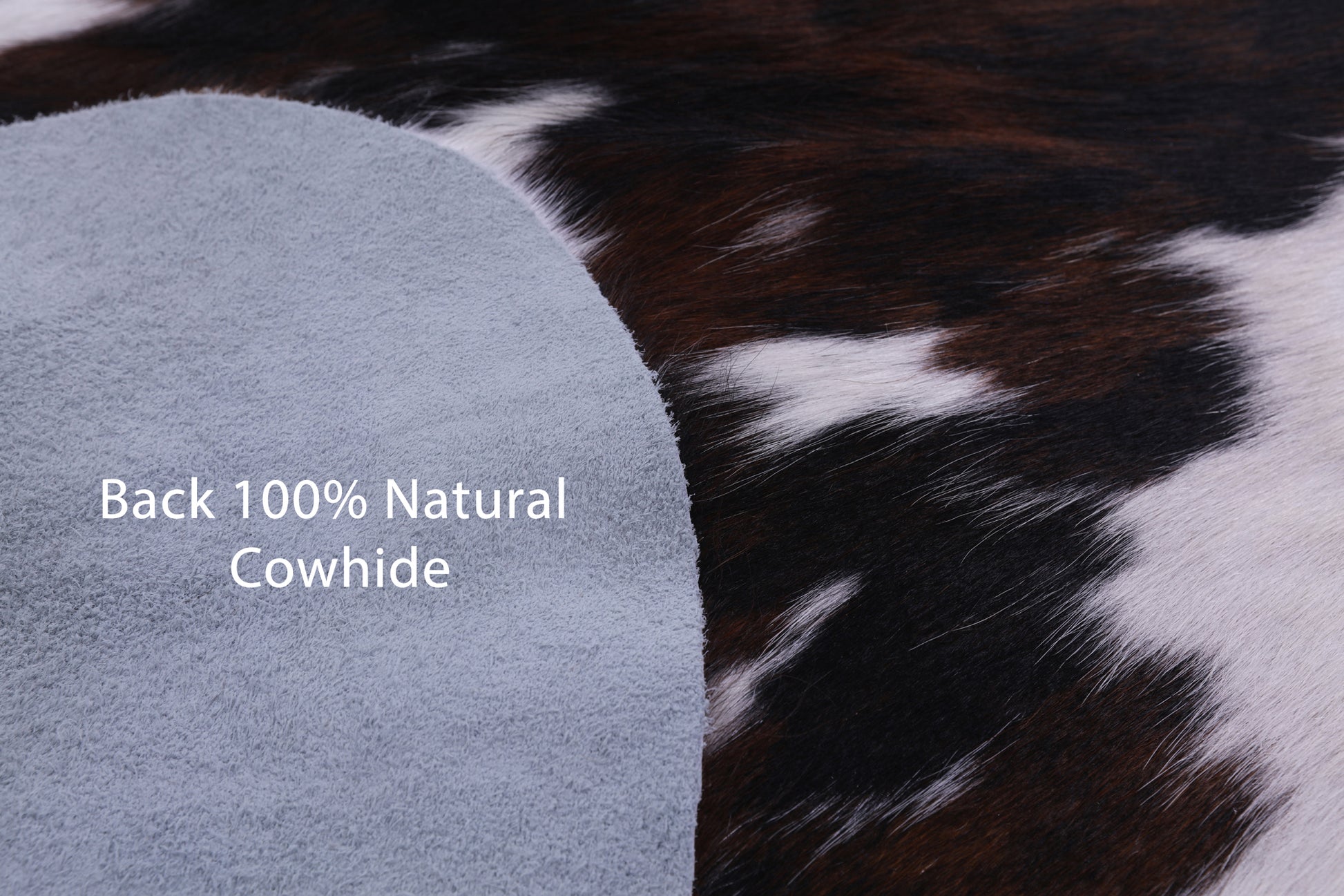 Natural Hair-On Cowhide Rug - 7' 1" X 6' 10" - Golden Nile