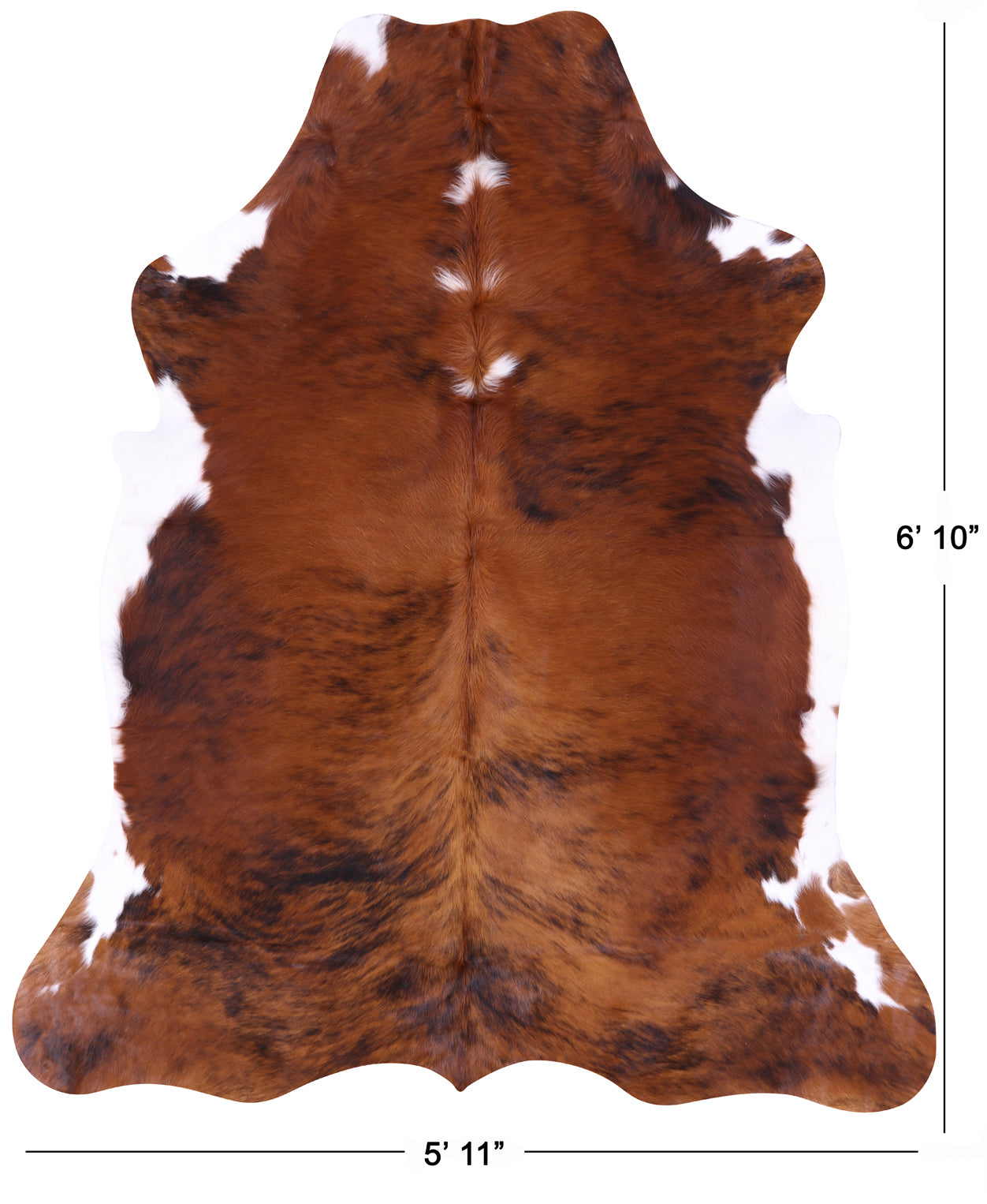 Natural Hair-On Cowhide Rug - 6' 10" X 5' 11" - Golden Nile