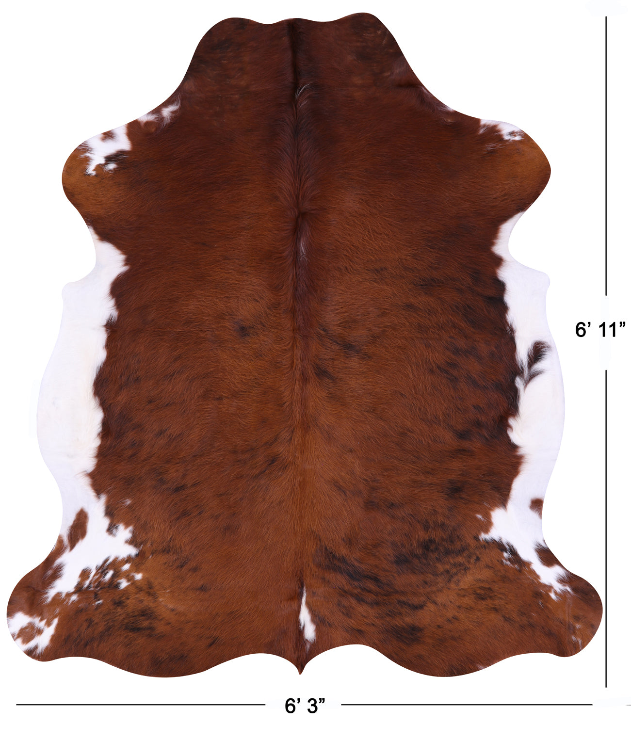 Natural Hair-On Cowhide Rug - 6' 11" X 6' 3" - Golden Nile