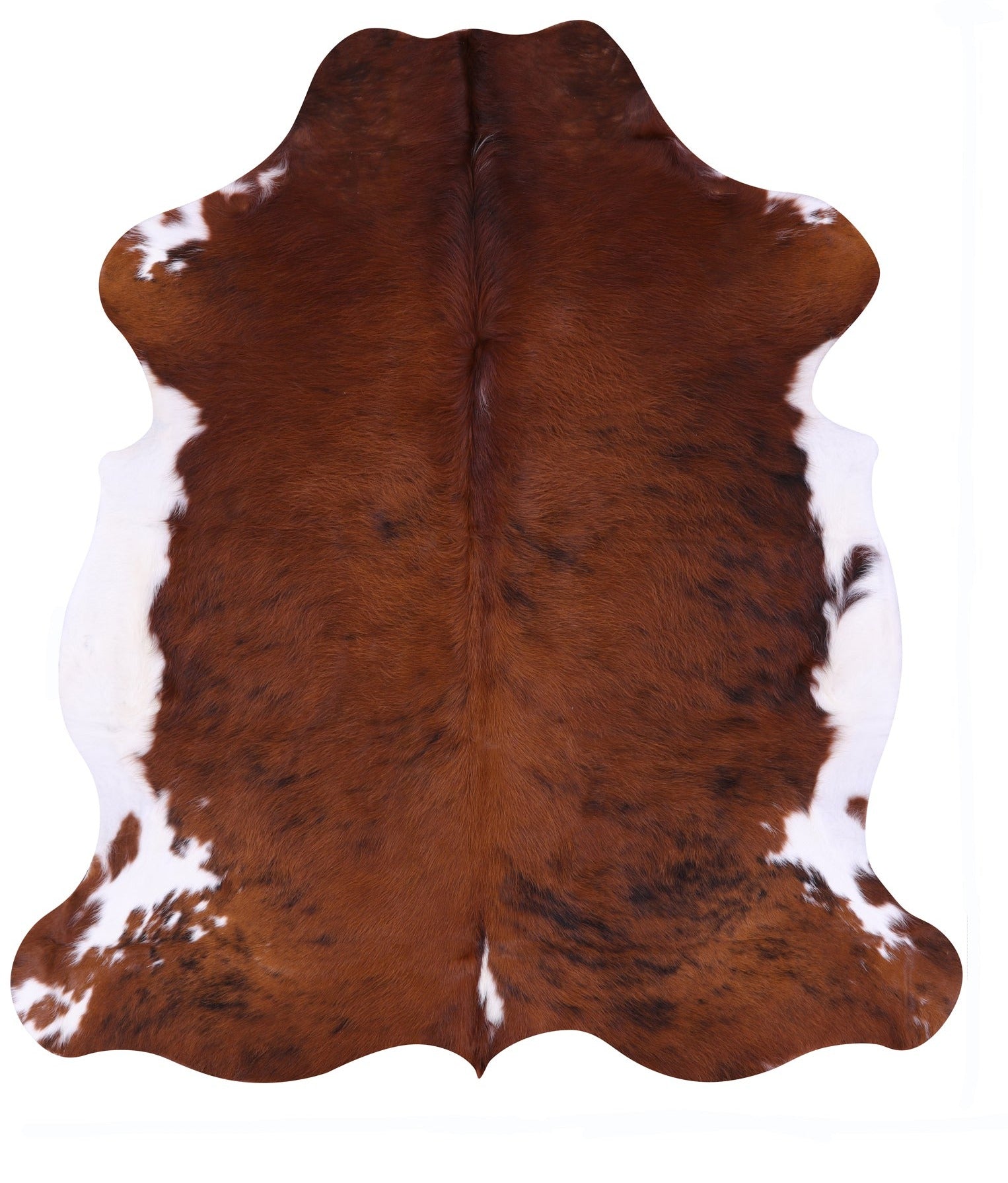 Natural Hair-On Cowhide Rug - 6' 11" X 6' 3" - Golden Nile