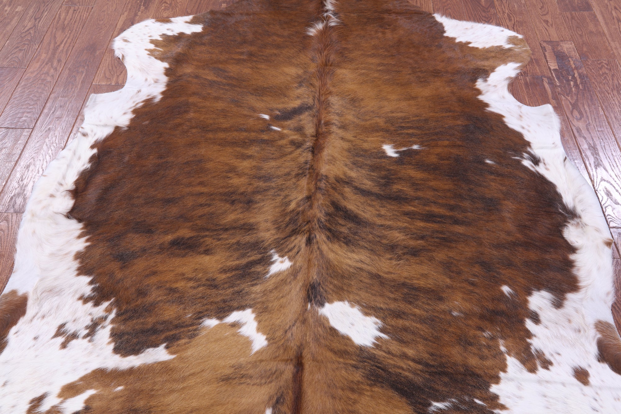Natural Hair-On Cowhide Rug - 6' 10" X 6' 8" - Golden Nile