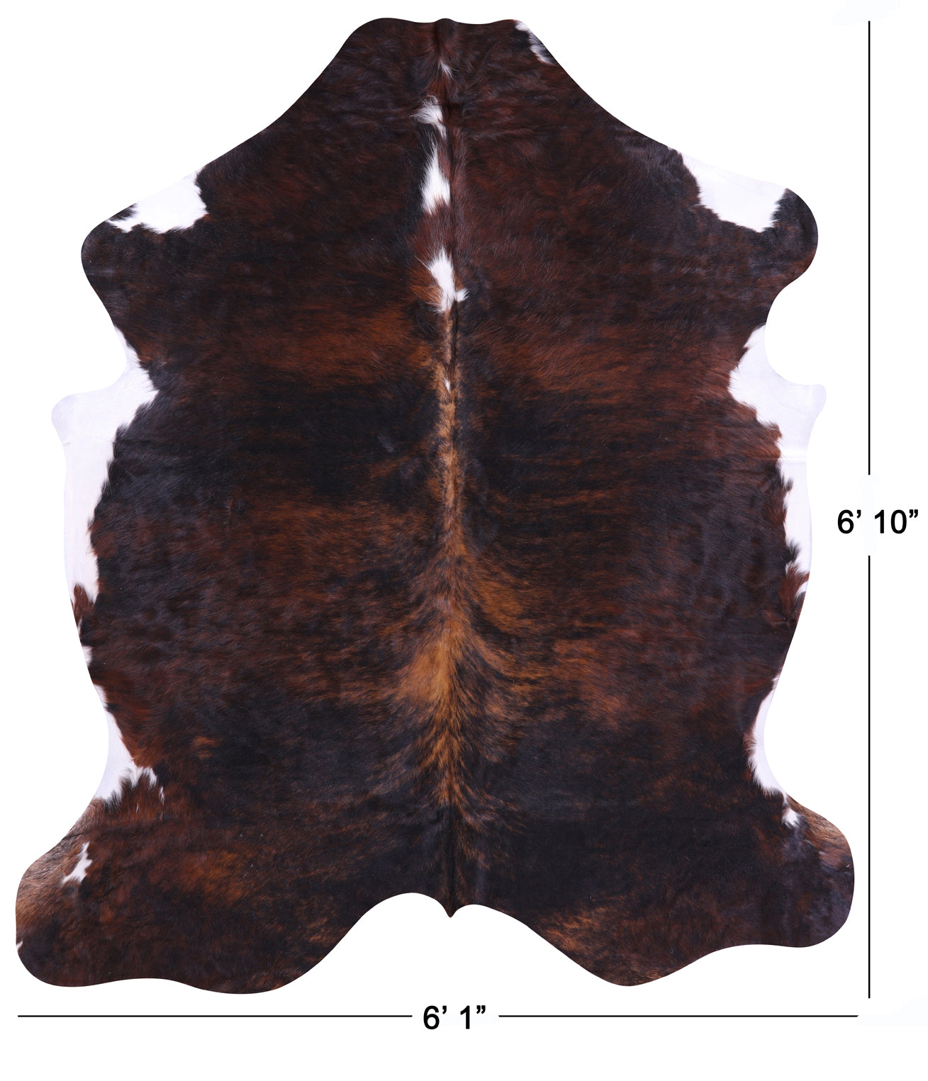 Natural Hair-On Cowhide Rug - 6' 10" X 6' 1" - Golden Nile