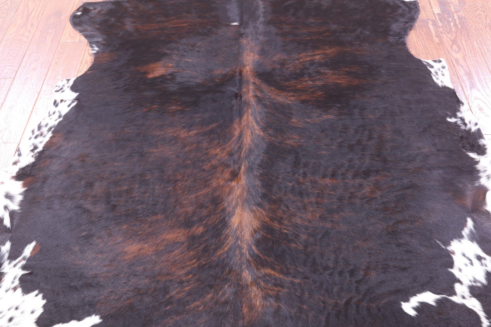 Natural Hair-On Cowhide Rug - 6' 9" X 6' 5" - Golden Nile