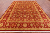 Red Chobi Peshawar Hand Knotted Rug - 9' 1" X 12' 3" - Golden Nile