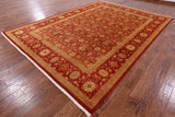 Red Chobi Peshawar Hand Knotted Rug - 9' 1" X 12' 3" - Golden Nile