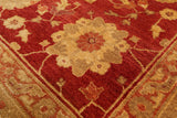 Red Chobi Peshawar Hand Knotted Rug - 9' 1" X 12' 3" - Golden Nile