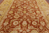 Chobi Peshawar Hand Knotted Rug - 10' 1" X 13' 7" - Golden Nile