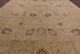 Chobi Peshawar Hand Knotted Rug - 12' 2" X 18' 3" - Golden Nile