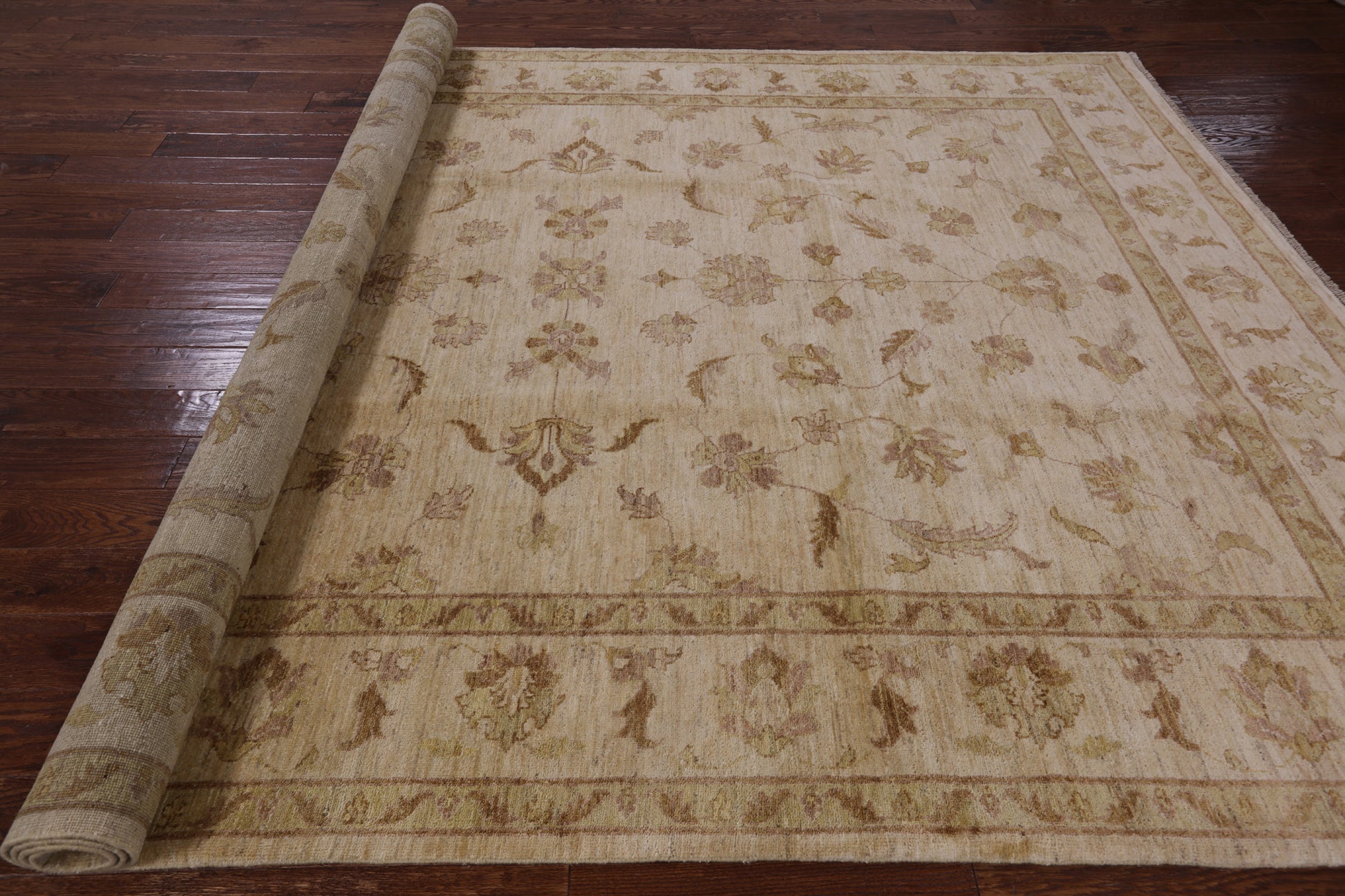 Ivory Peshawar Hand Knotted Rug - 8' 2" X 11' 4" - Golden Nile