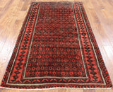 4 X 7 Oriental Baluch Wool Area Rug - Golden Nile